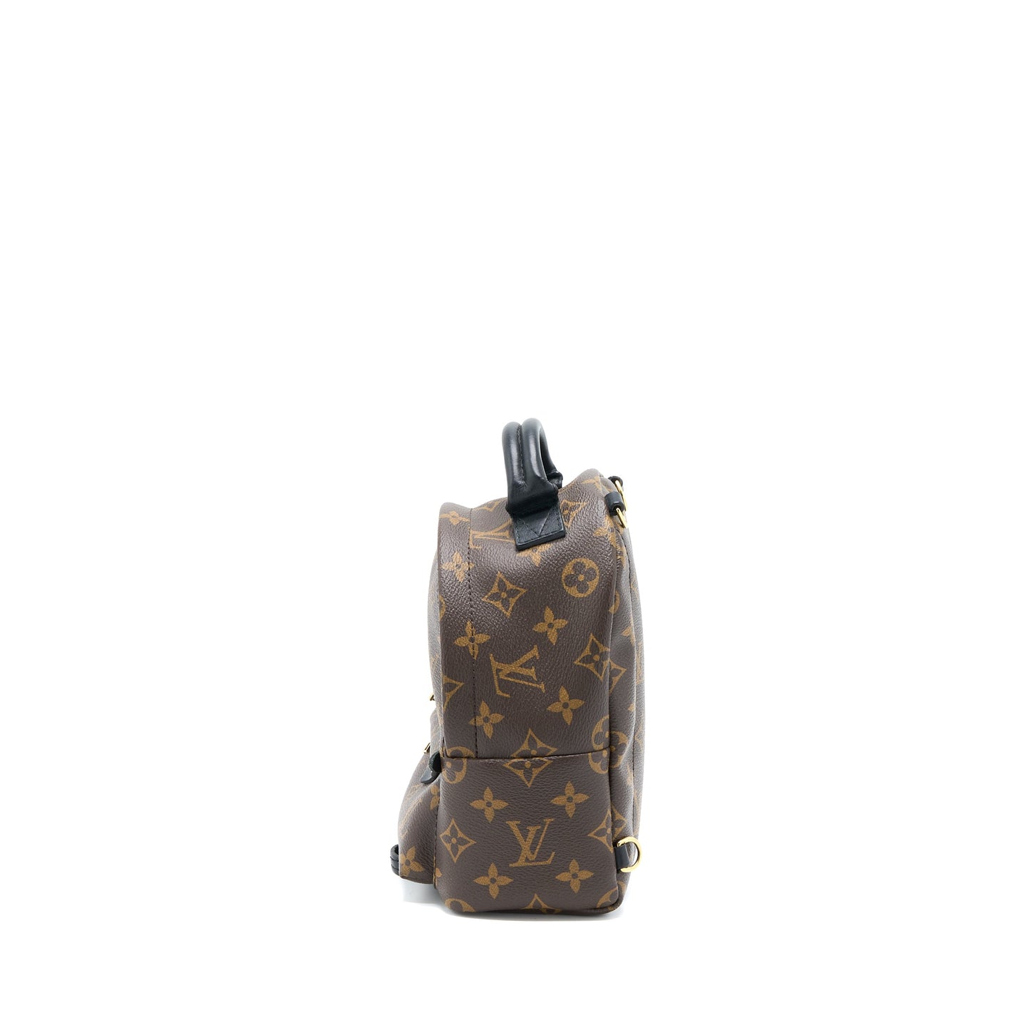 Louis Vuitton Palm Spring Mini Backpack Monogram Canvas