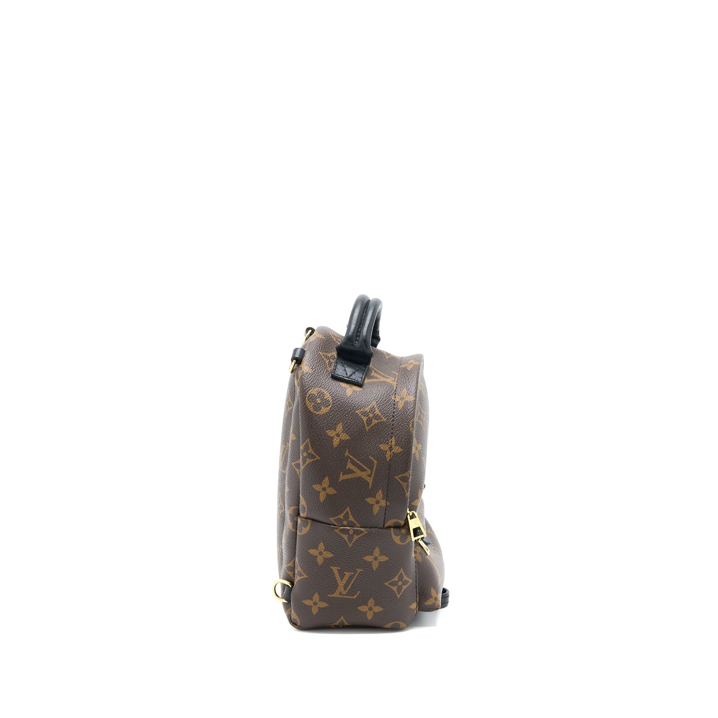 Louis Vuitton Palm Spring Mini Backpack Monogram Canvas