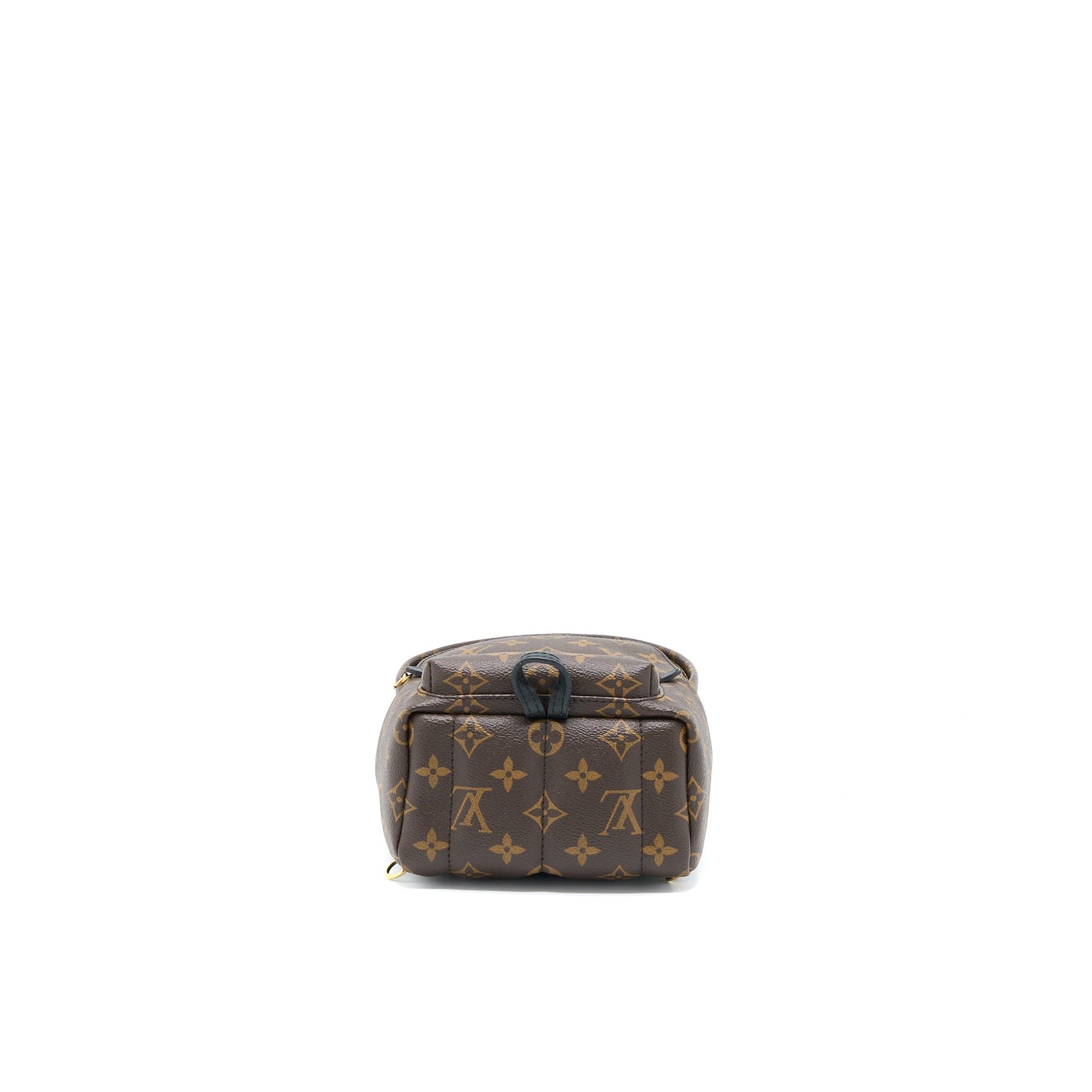 Louis Vuitton Palm Spring Mini Backpack Monogram Canvas
