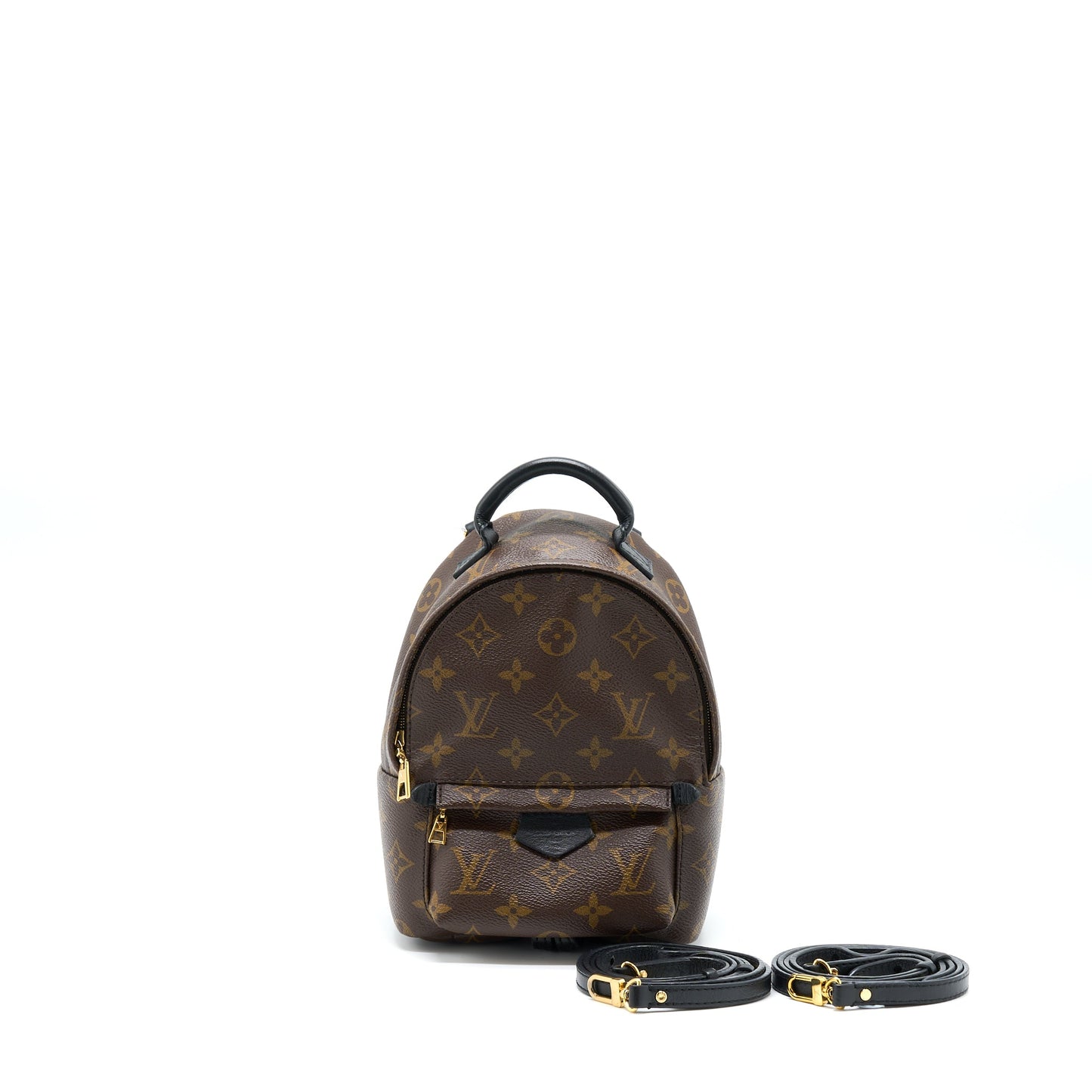 Louis Vuitton Palm Spring Mini Backpack Monogram Canvas