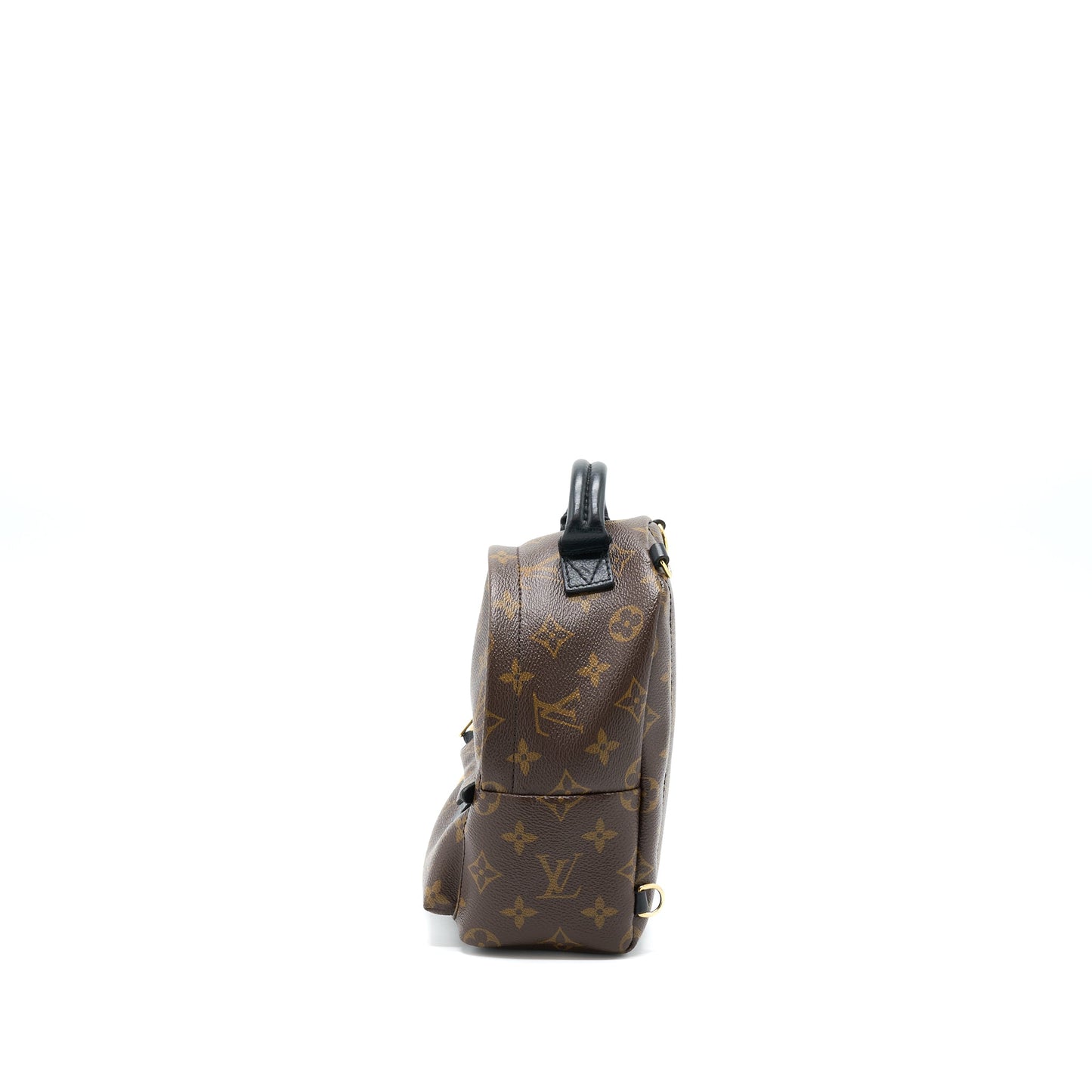 Louis Vuitton Palm Spring Mini Backpack Monogram Canvas