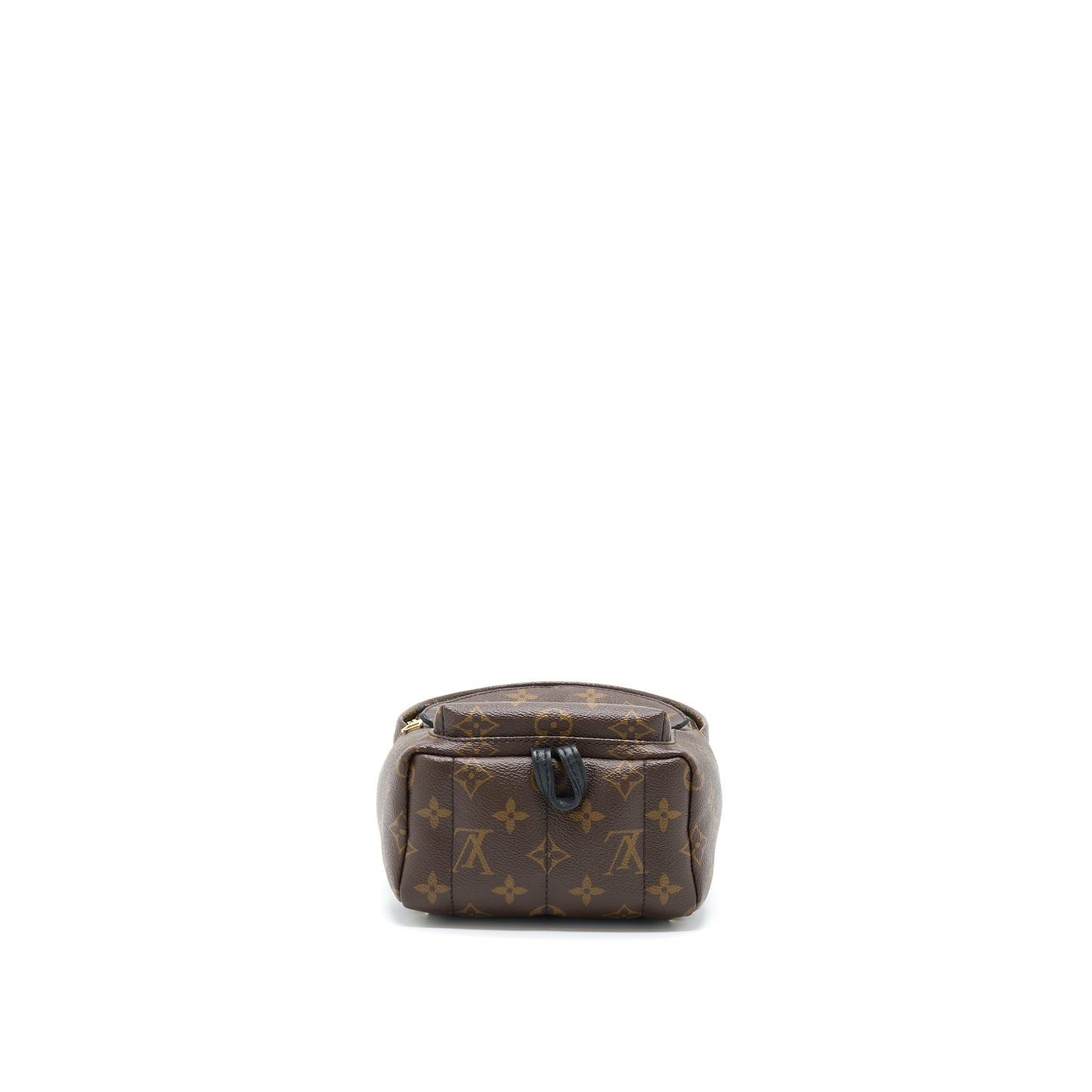 Louis Vuitton Palm Spring Mini Backpack Monogram Canvas