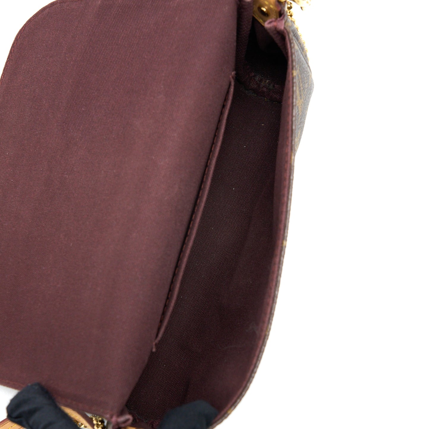 Louis Vuitton Favorite Monogram Canvas