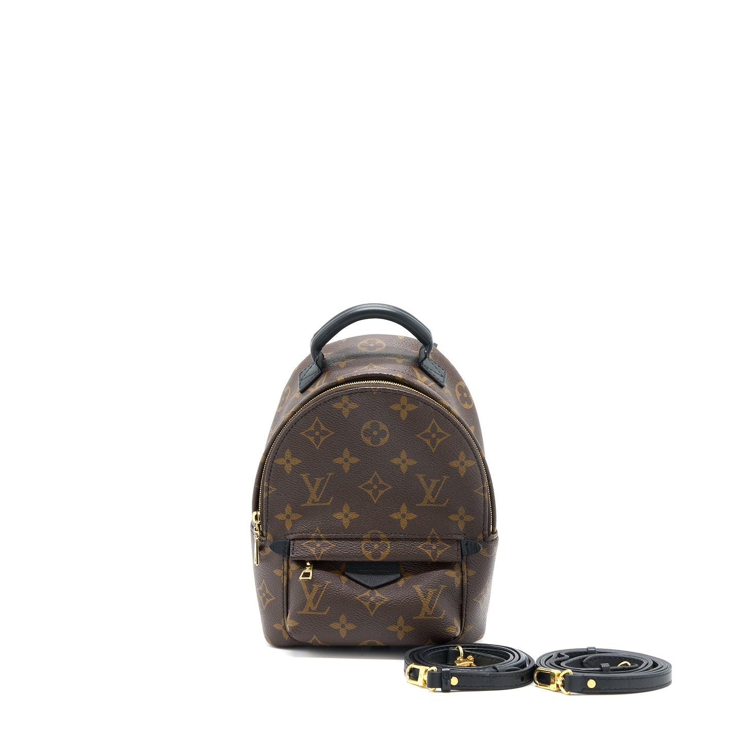 Louis Vuitton Mini Palm Spring Backpack Monogram Canvas