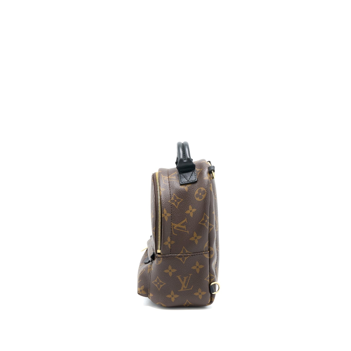 Louis Vuitton Mini Palm Spring Backpack Monogram Canvas