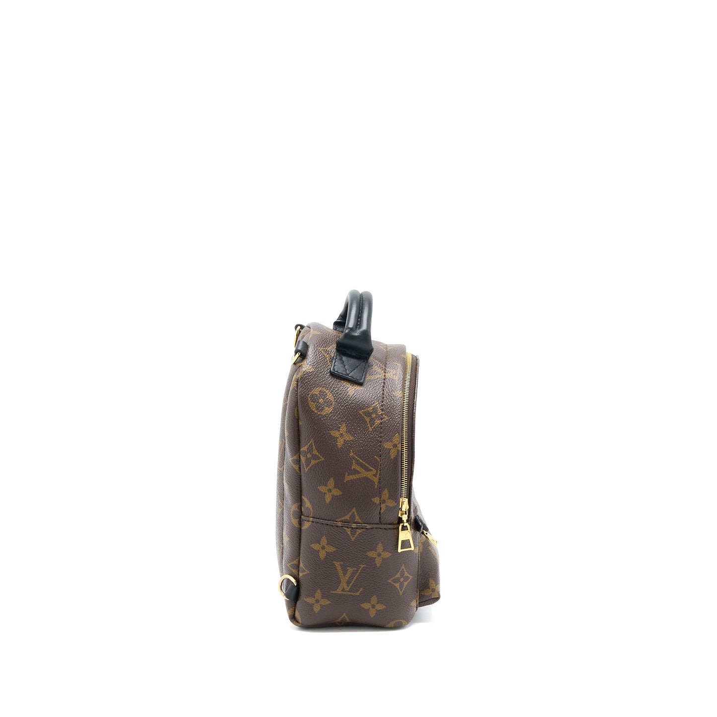 Louis Vuitton Mini Palm Spring Backpack Monogram Canvas