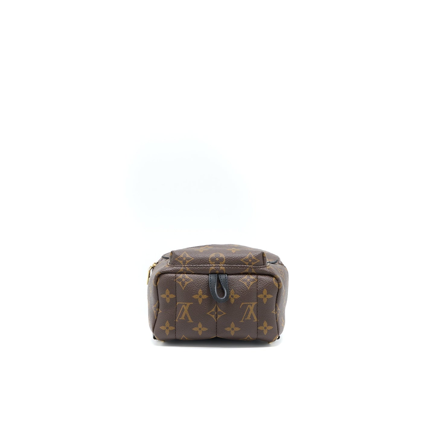Louis Vuitton Mini Palm Spring Backpack Monogram Canvas