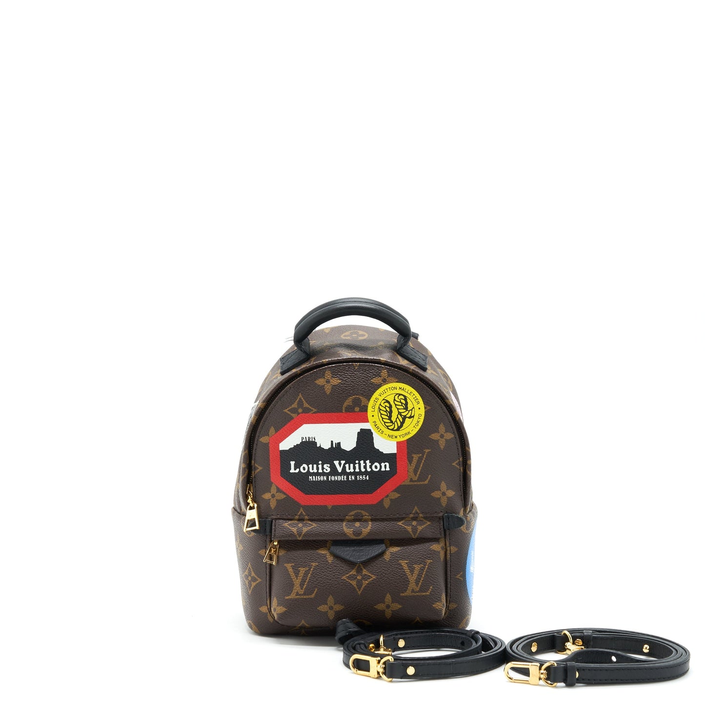 Louis Vuitton Palm Spring Mini Backpack limited Edition