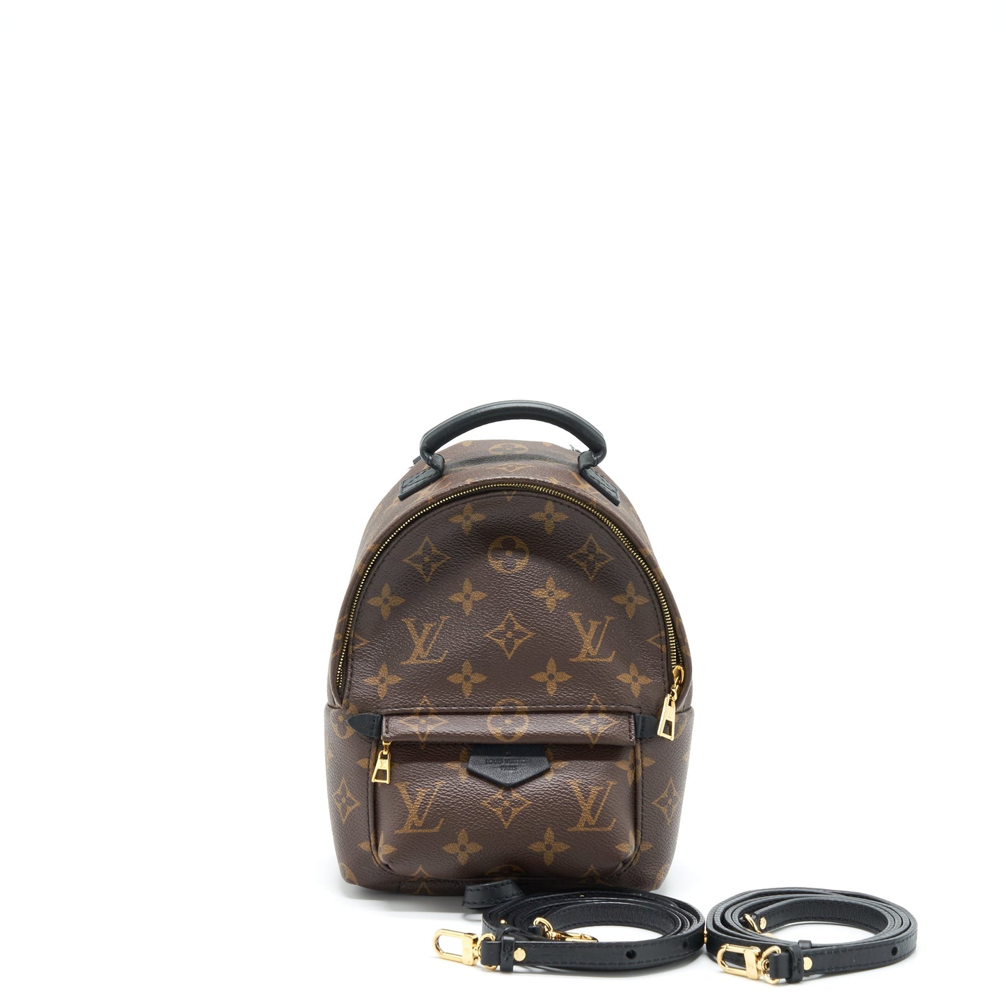 Louis Vuitton Palm Spring Mini Backpack Monogram Canvas