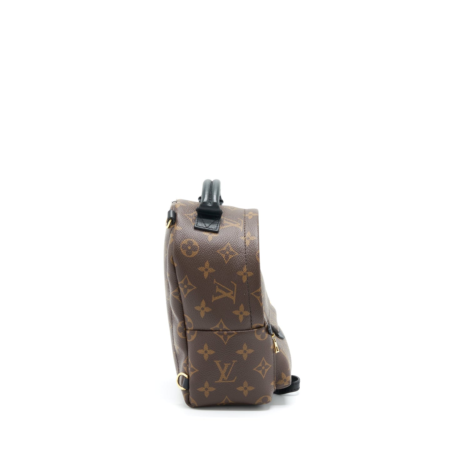 Louis Vuitton Palm Spring Mini Backpack Monogram Canvas