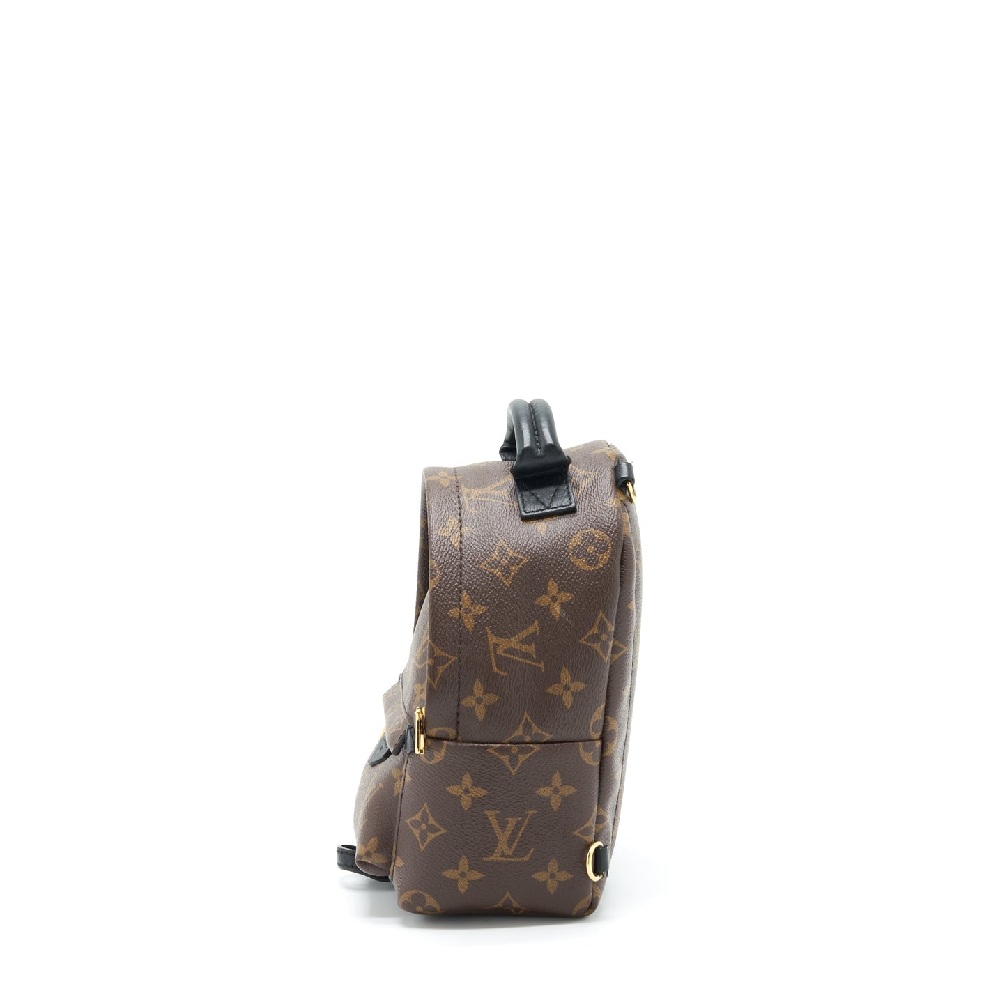 Louis Vuitton Palm Spring Mini Backpack Monogram Canvas