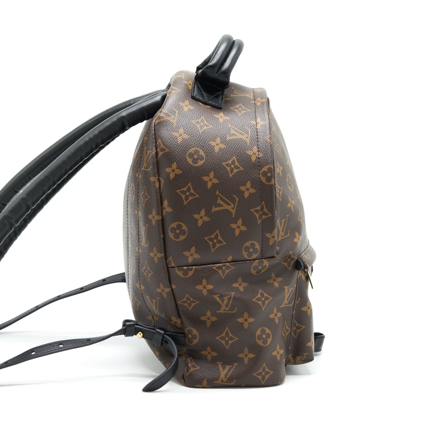 Louis Vuitton Palm Springs Monogram Canvas