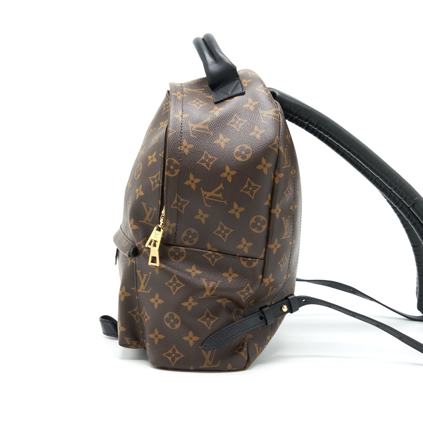 Louis Vuitton Palm Springs Monogram Canvas