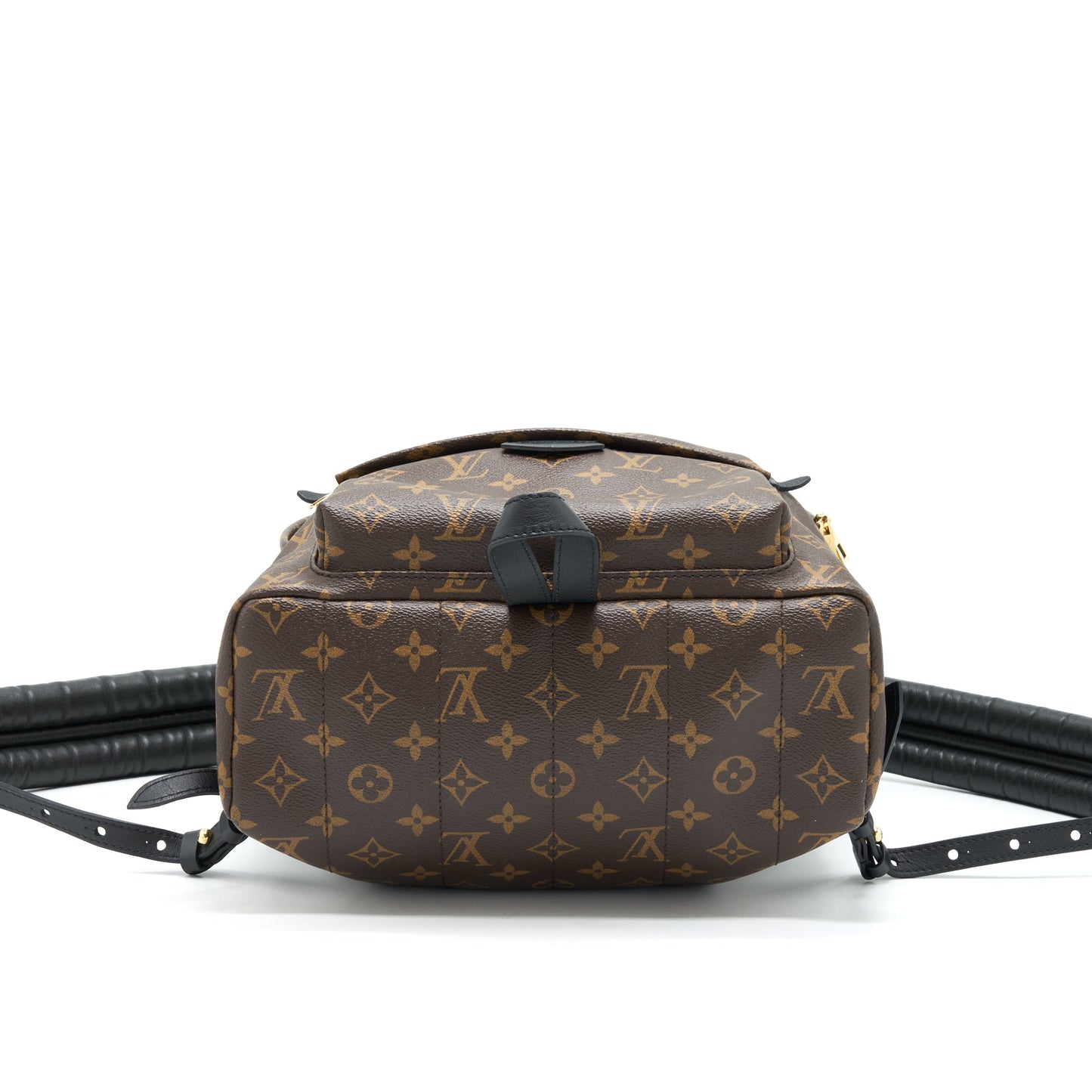 Louis Vuitton Palm Springs Monogram Canvas