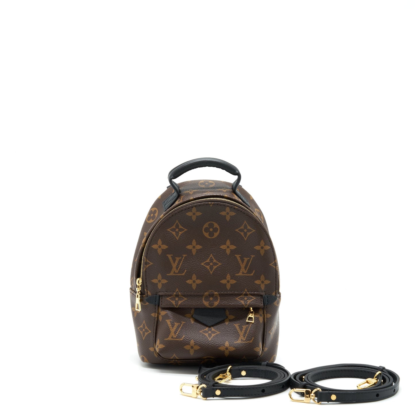 Louis Vuitton Palm Springs Mini Backpack Monogram Canvas