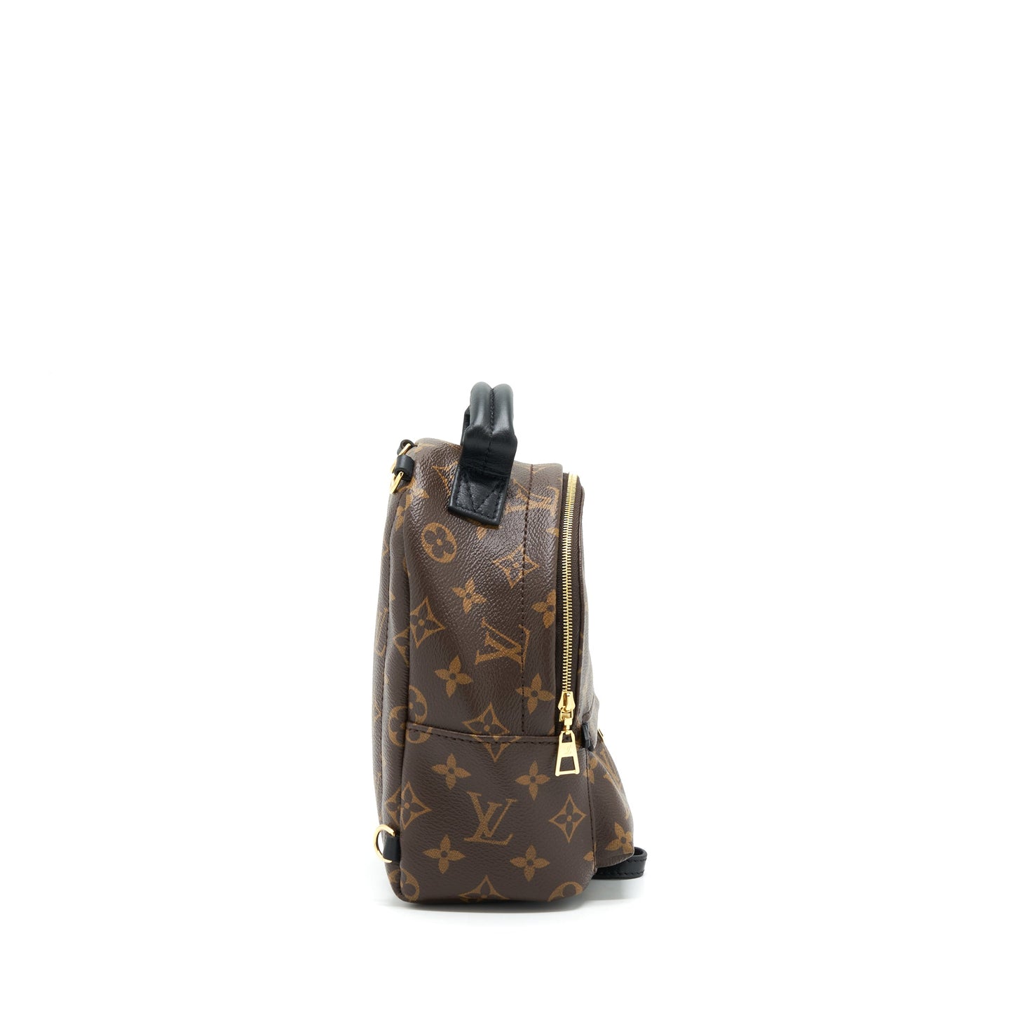 Louis Vuitton Palm Springs Mini Backpack Monogram Canvas