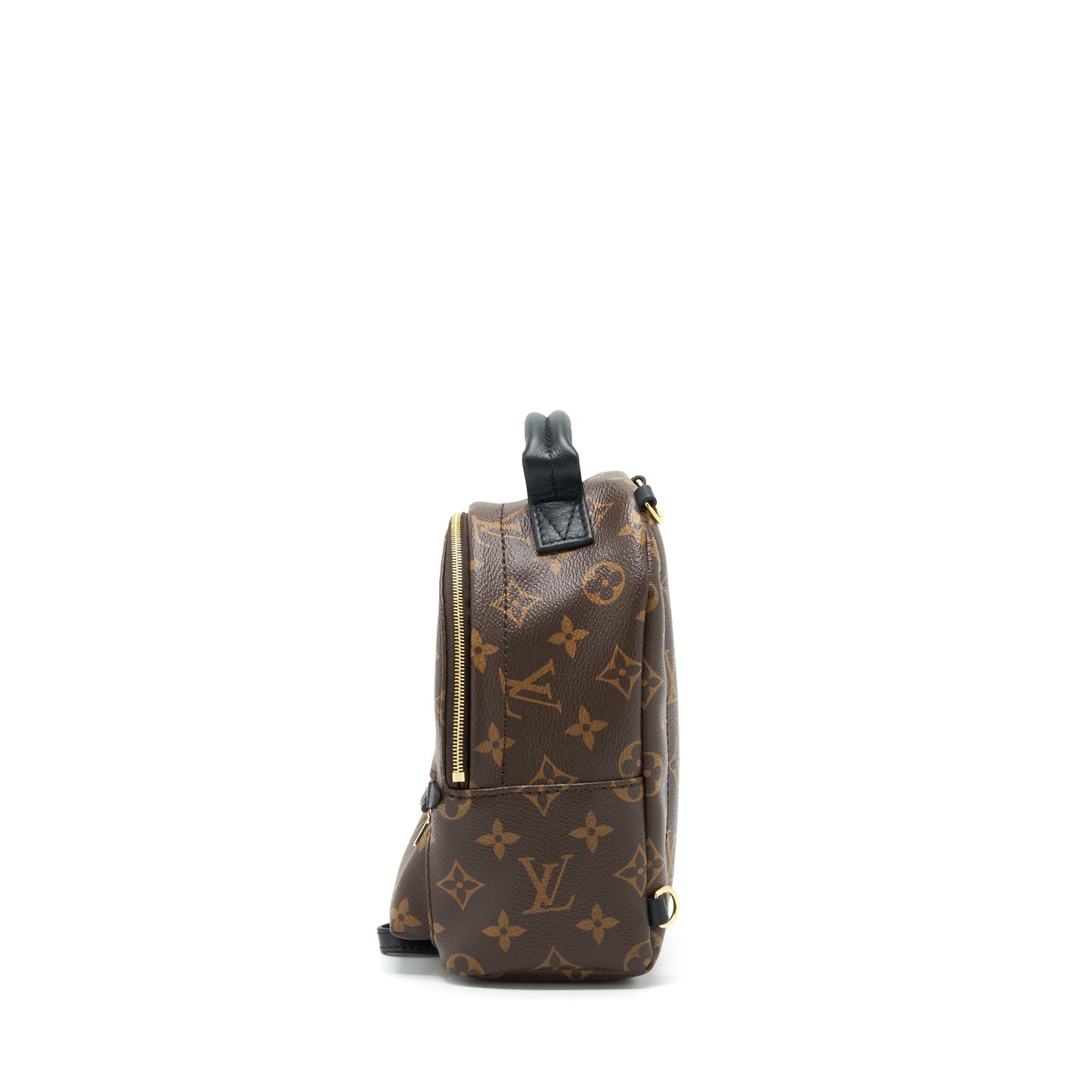 Louis Vuitton Palm Springs Mini Backpack Monogram Canvas