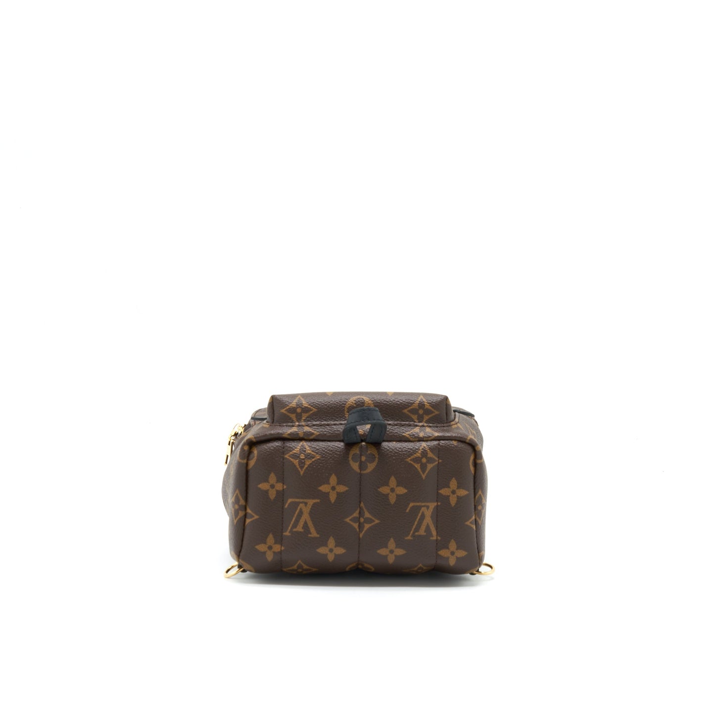 Louis Vuitton Palm Springs Mini Backpack Monogram Canvas