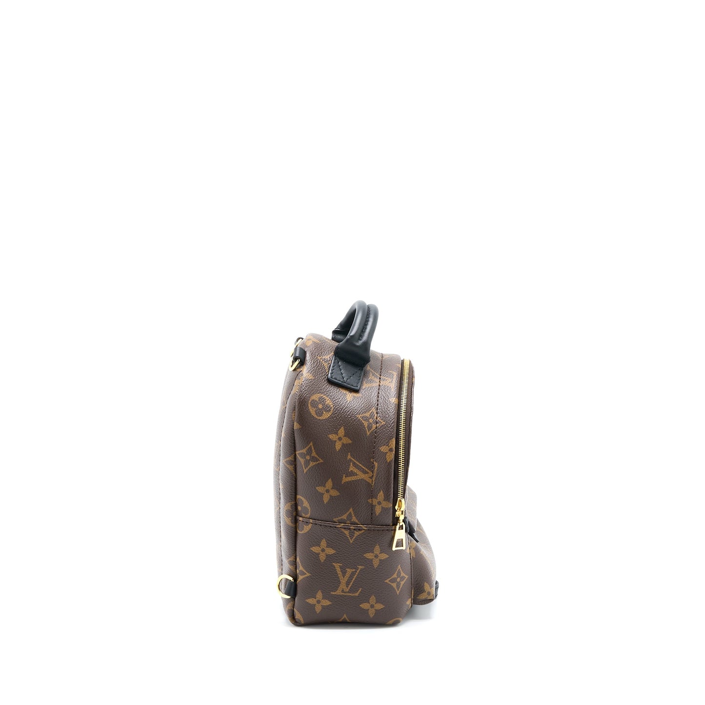 Louis Vuitton Mini Palm Spring Backpack Monogram Canvas