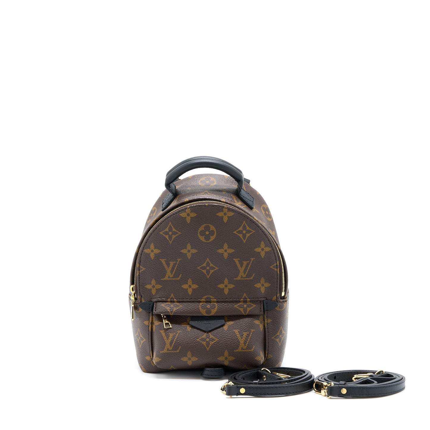 Louis Vuitton Palm Springs Mini Backpack New Version Monogram Canvas