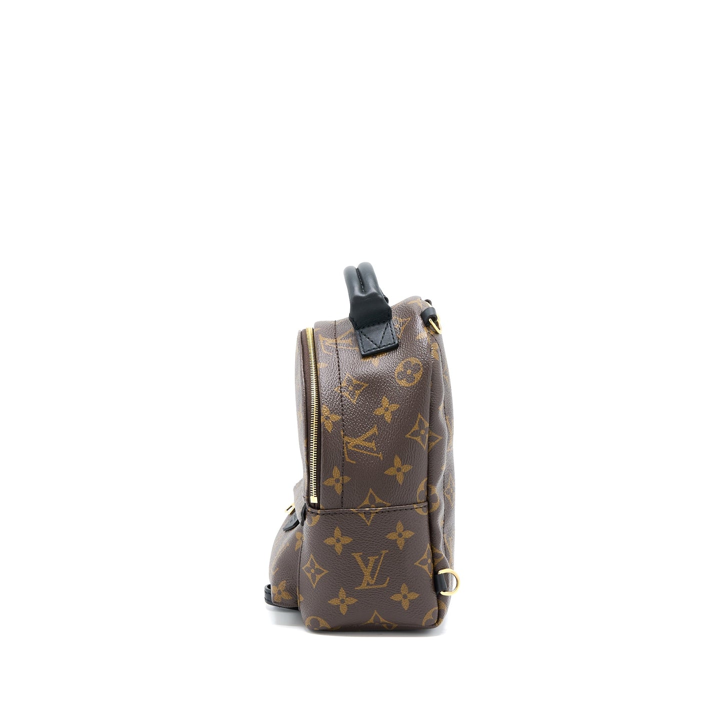 Louis Vuitton Palm Springs Mini Backpack New Version Monogram Canvas