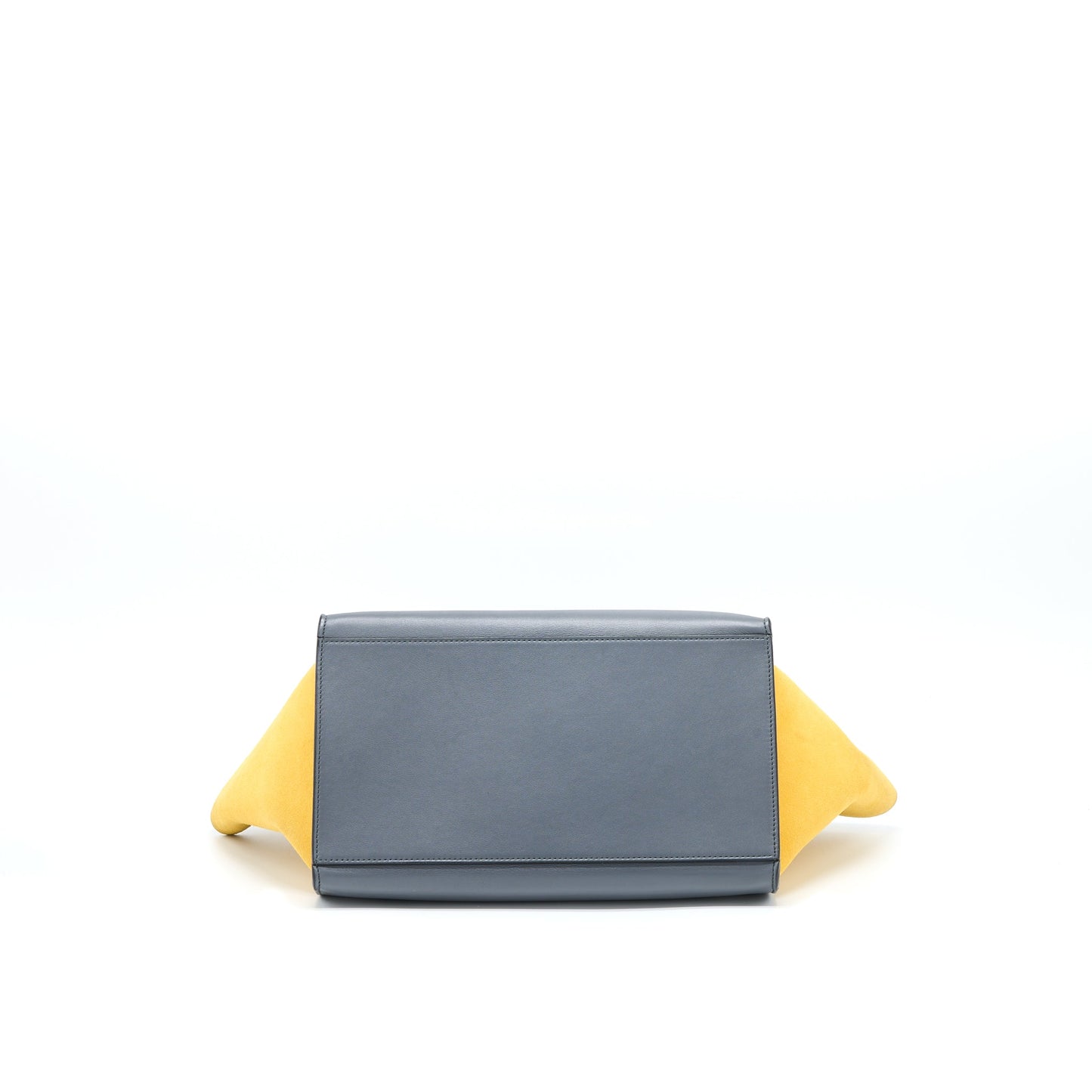 Celine Trapeze Purse Multicoloured