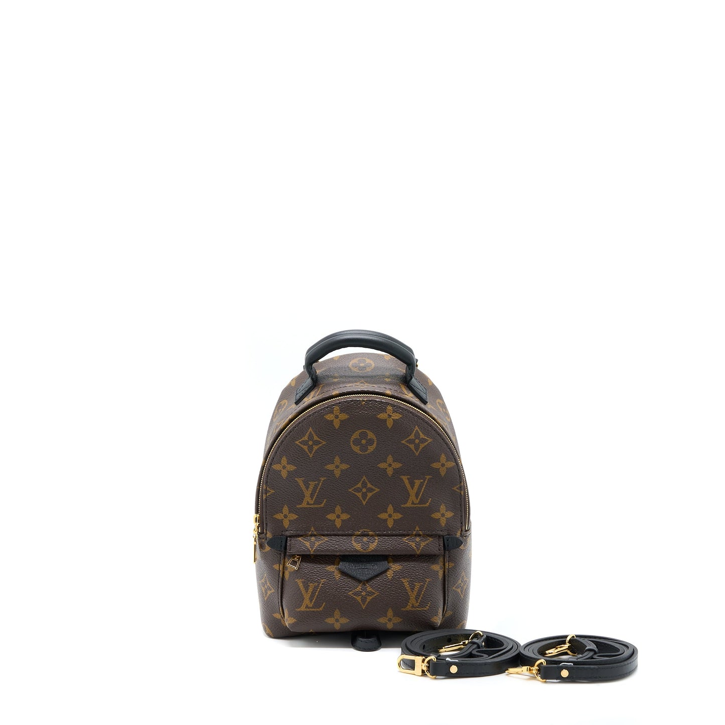 Louis Vuitton Palm Spring Mini Backpack Monogram Canvas (New Version)