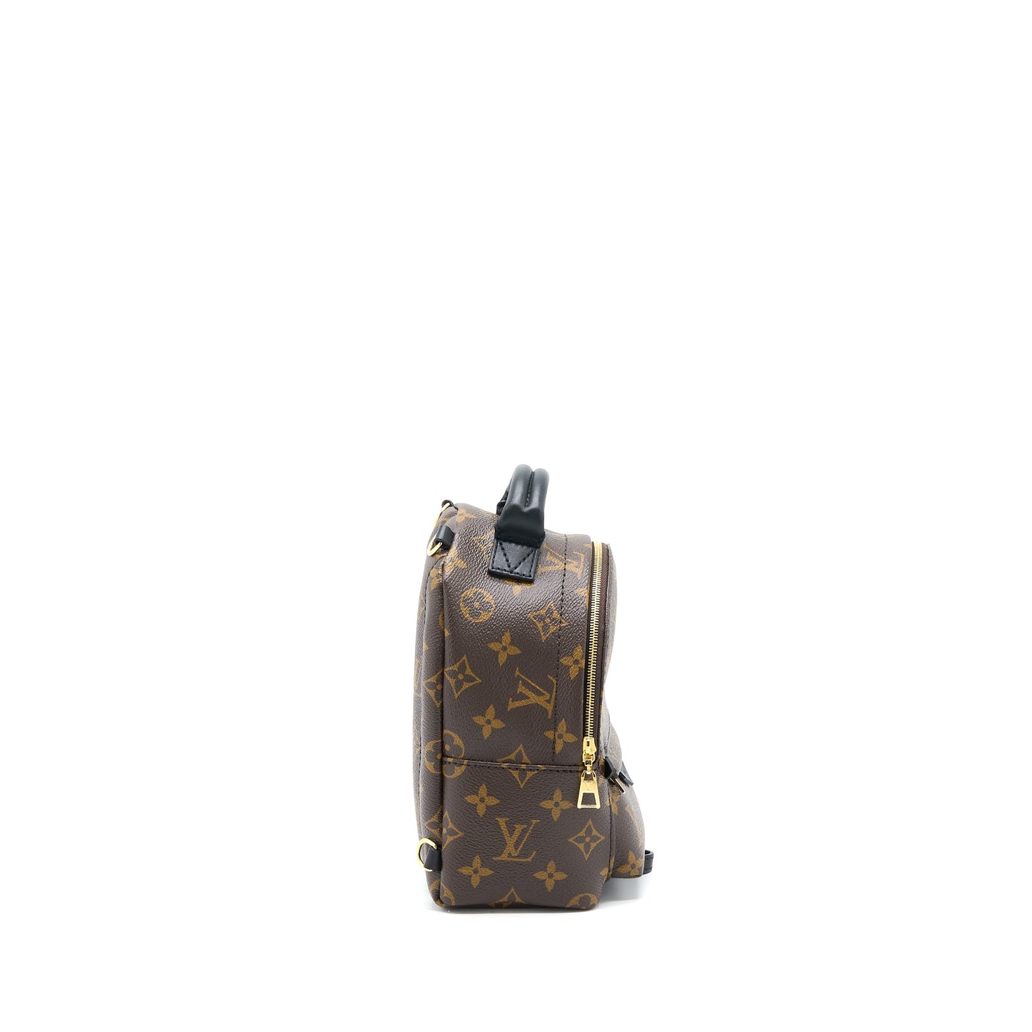 Louis Vuitton Palm Spring Mini Backpack Monogram Canvas