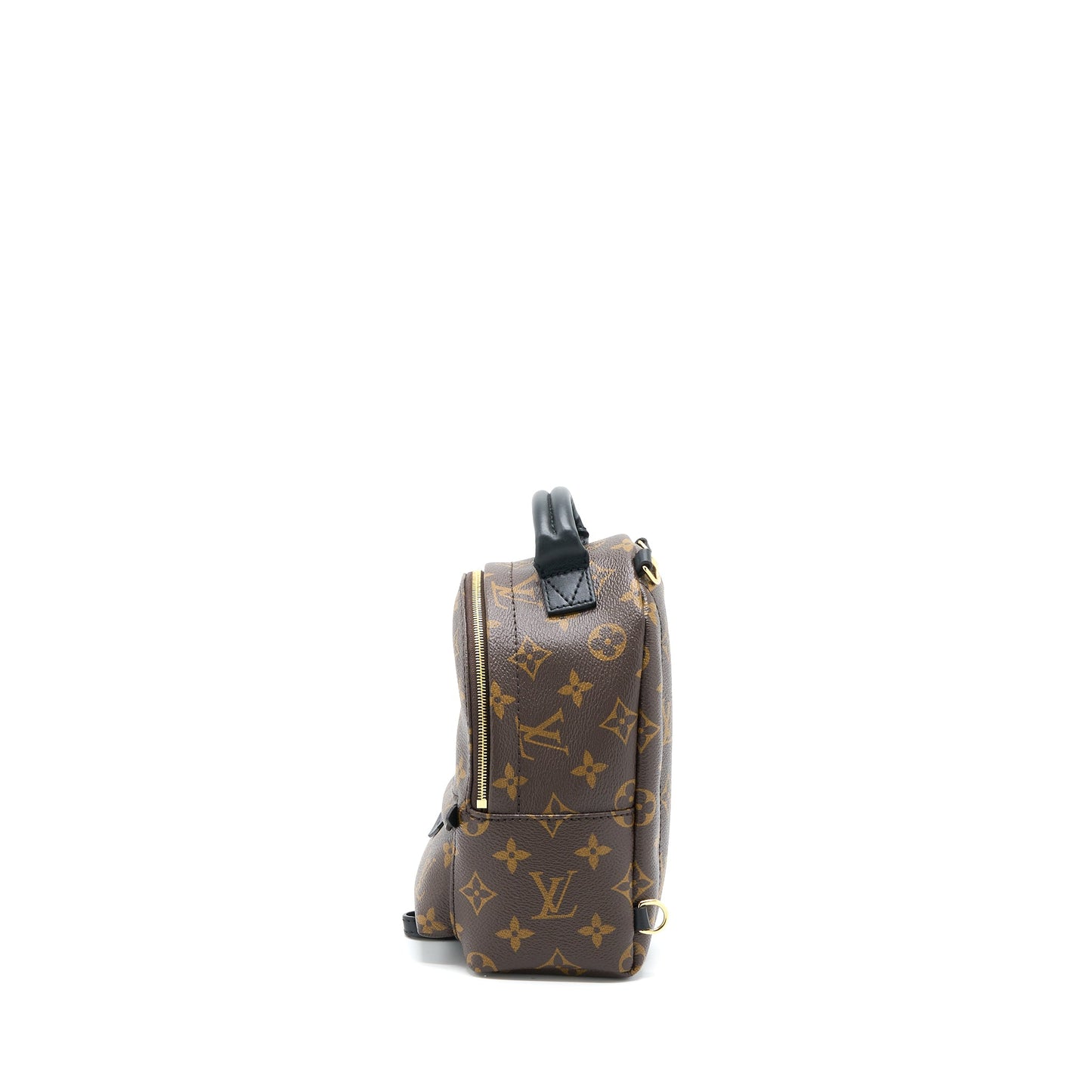 Louis Vuitton Palm Spring Mini Backpack Monogram Canvas