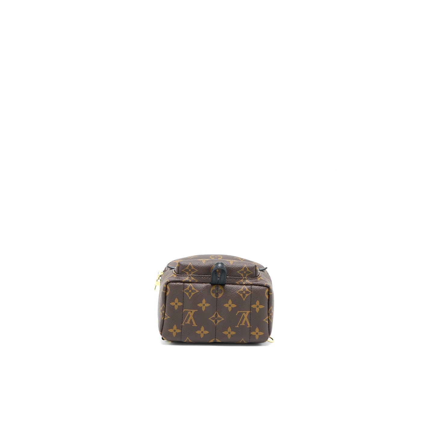 Louis Vuitton Palm Springs Mini Backpack Monogram Canvas (New Version)