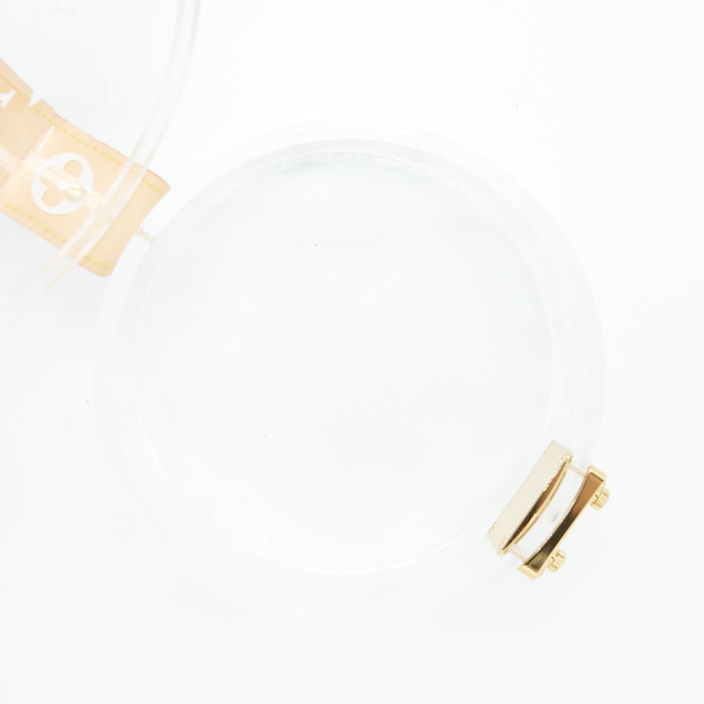 Louis Vuitton Transparent Scott Monogram Box