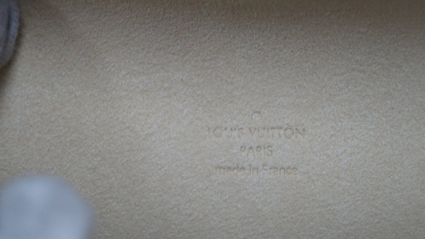 LOUIS VUITTON Monogram Canvas Pochette Florentine Bag