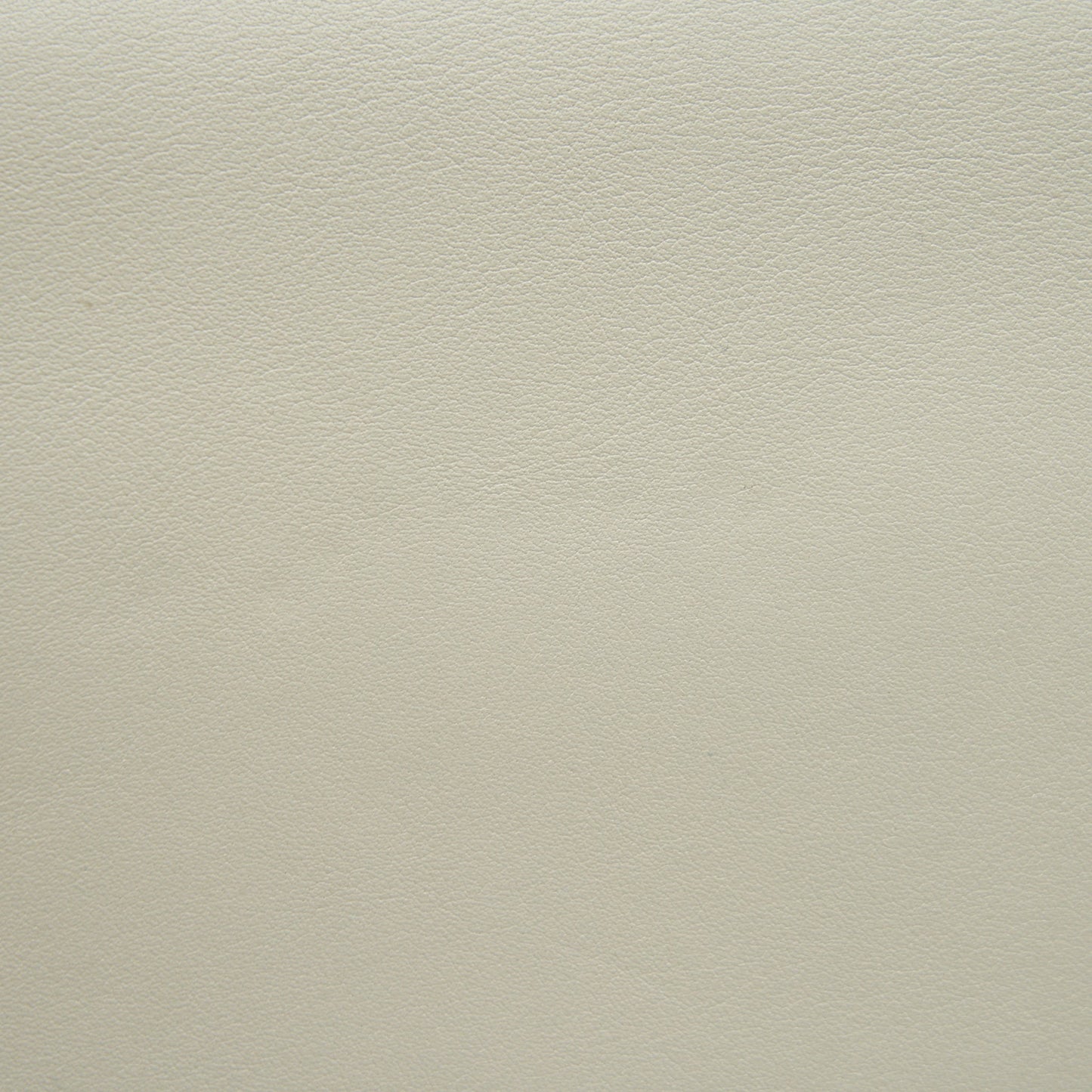Dior Medium Dior Evolution Bag White with SHW