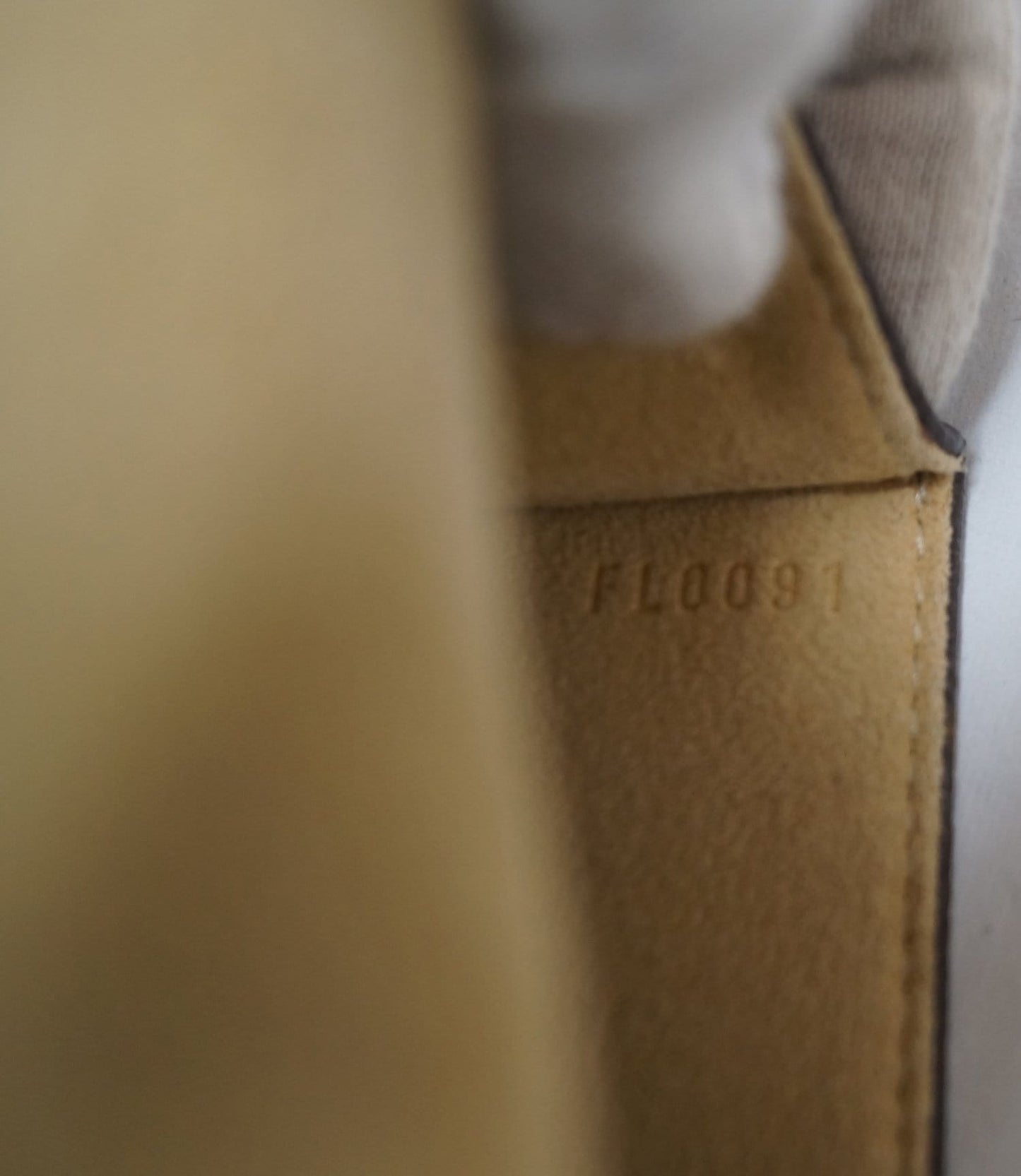 LOUIS VUITTON Monogram Canvas Pochette Florentine Bag