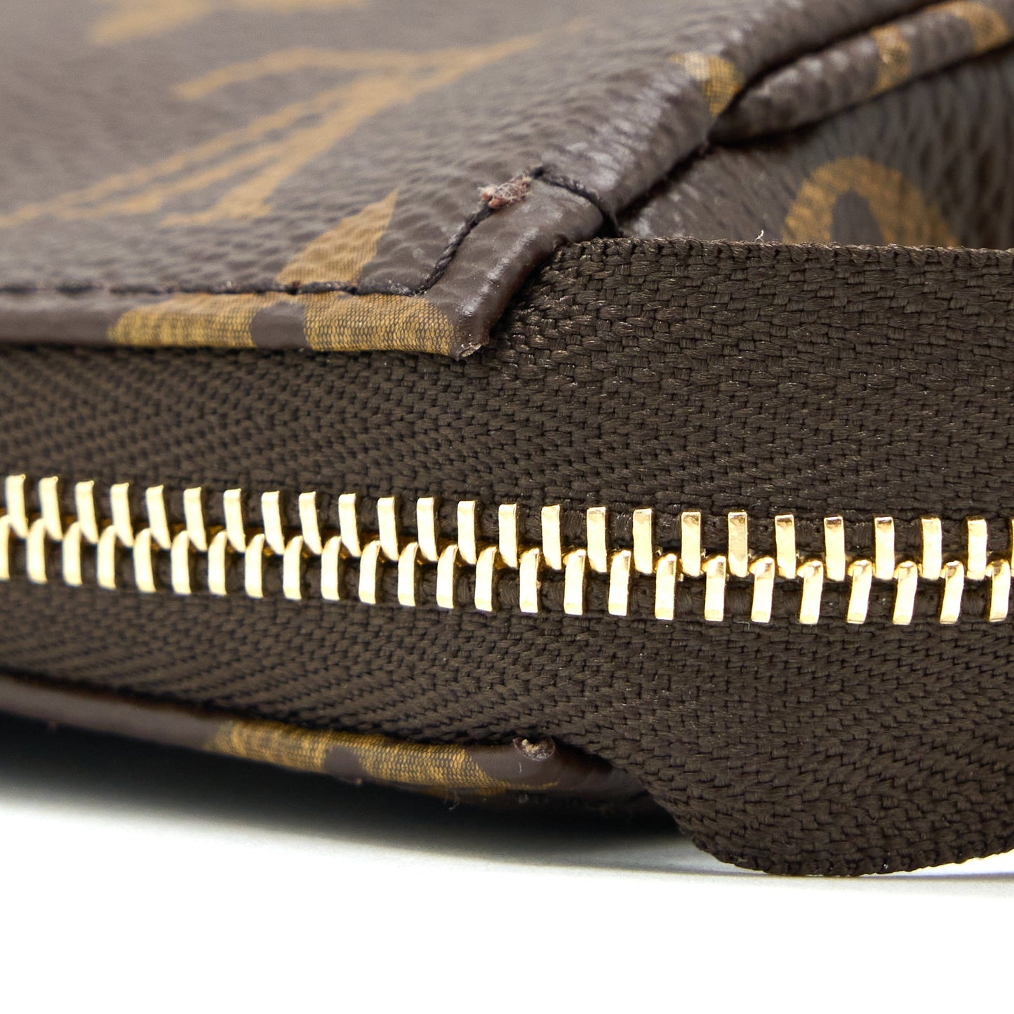 Louis Vuitton Pochette Accessories Monogram Canvas (New Version)