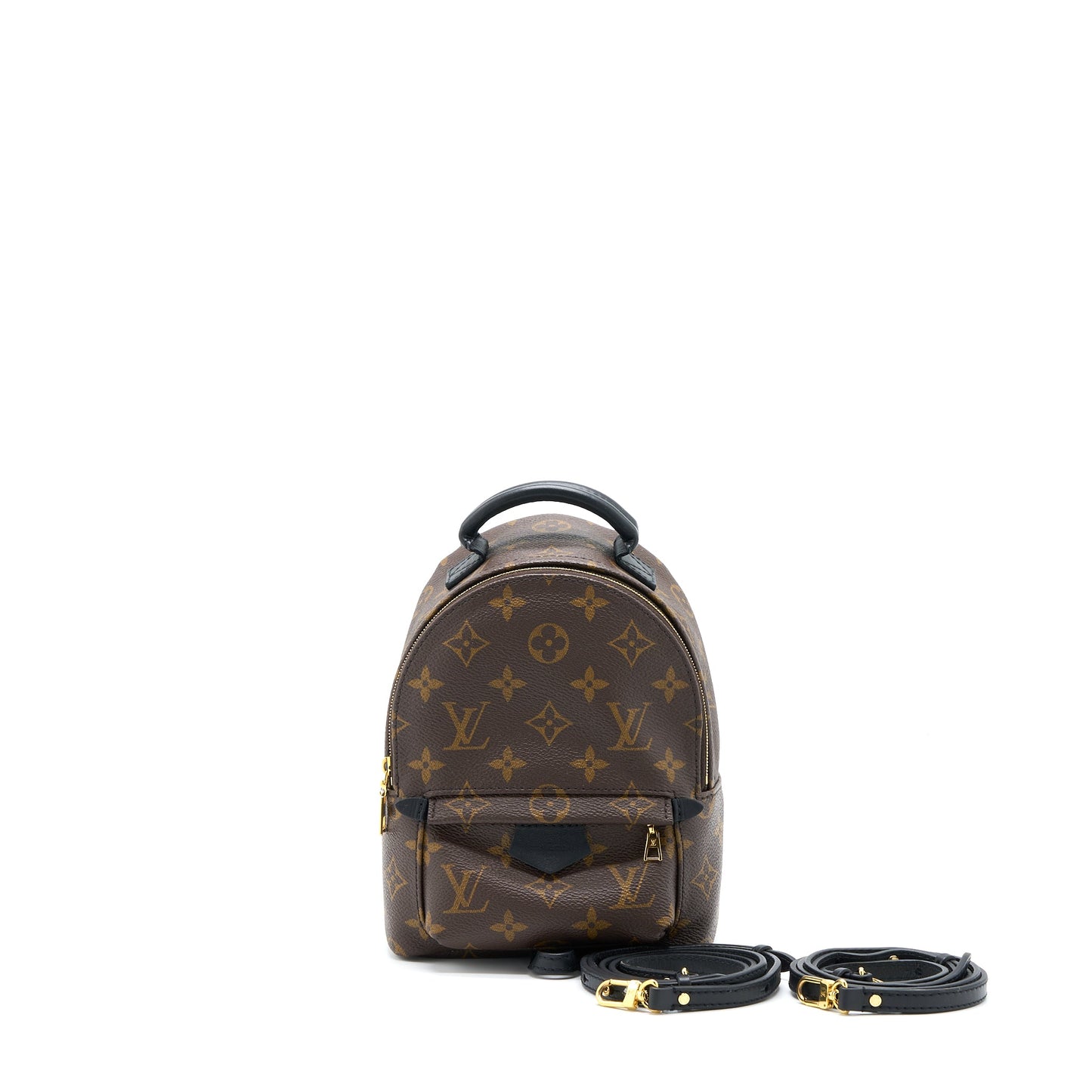 Louis Vuitton Mini Palm Spring Backpack Monogram Canvas (New Version)
