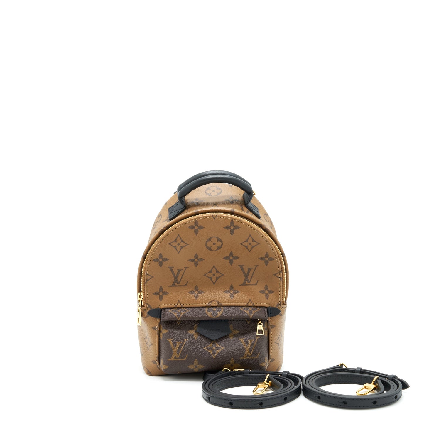 Louis Vuitton Palm Spring Mini Backpack Year 2020
