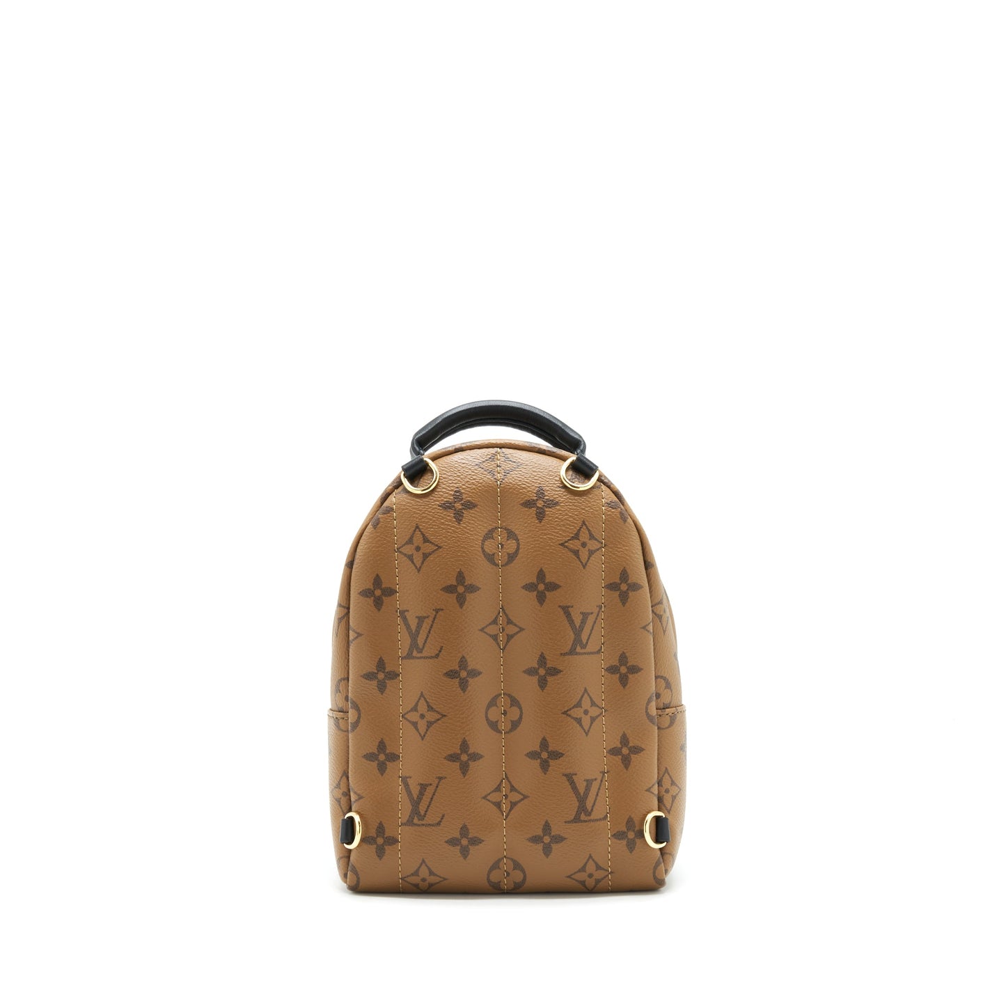 Louis Vuitton Palm Spring Mini Backpack Year 2020