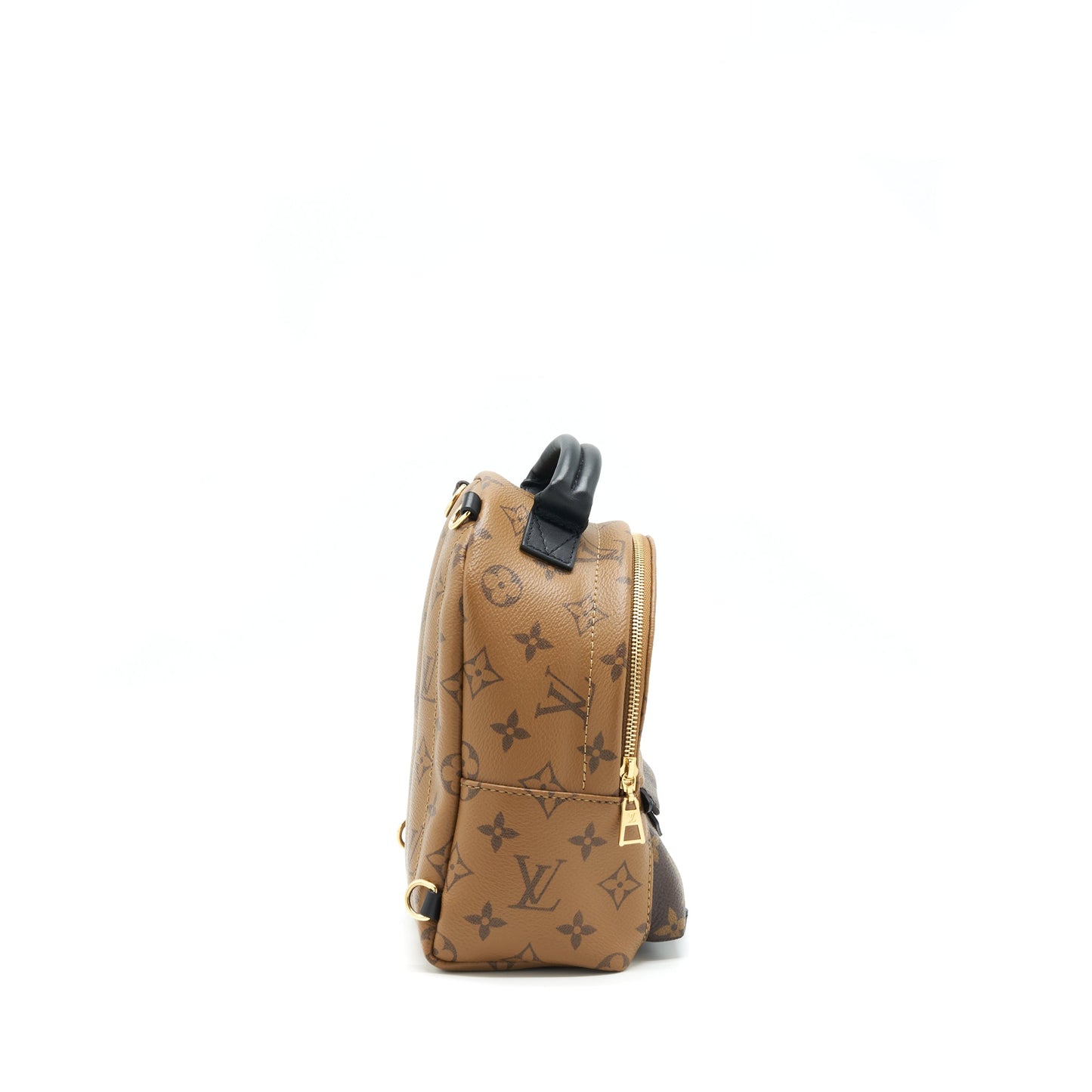 Louis Vuitton Palm Spring Mini Backpack Year 2020