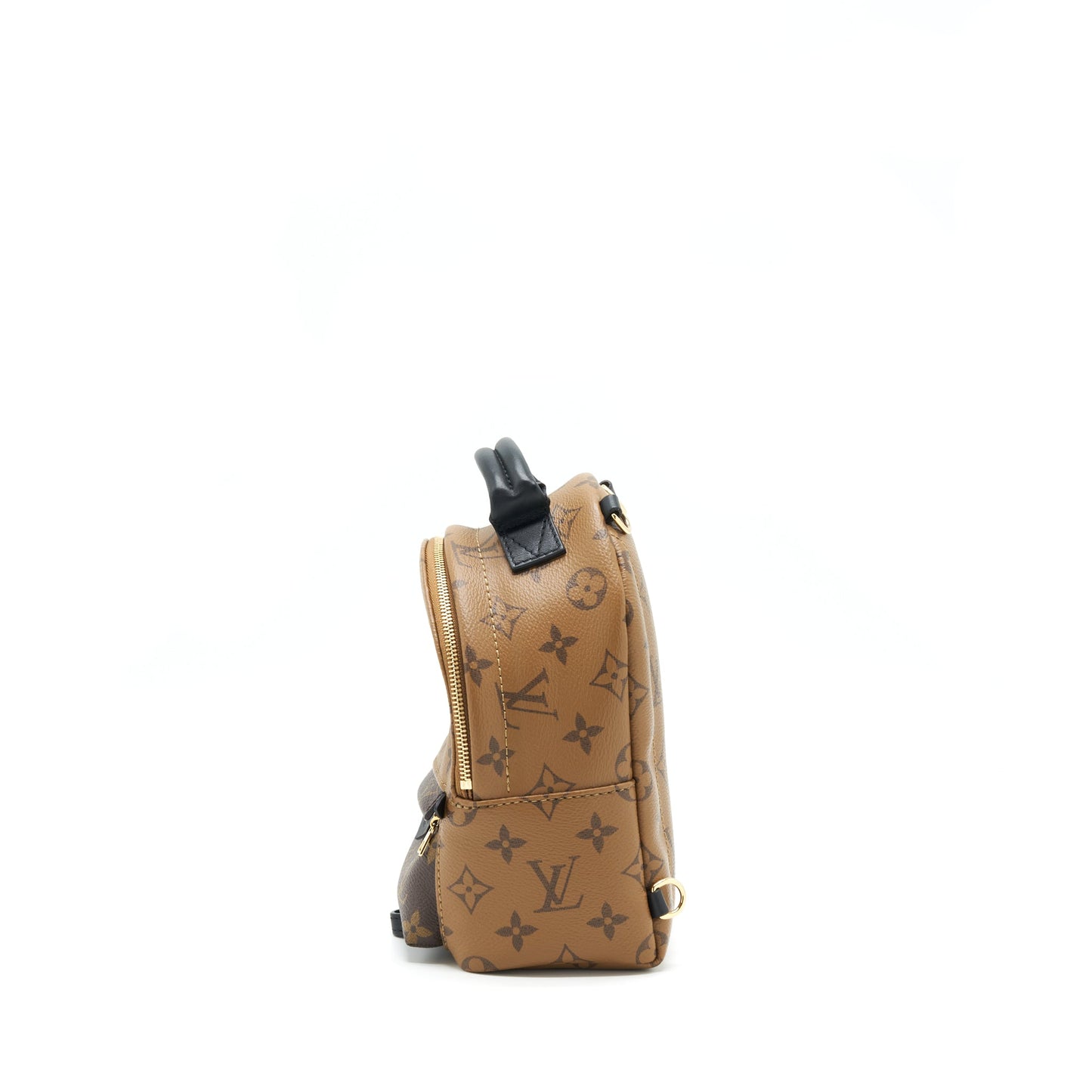 Louis Vuitton Palm Spring Mini Backpack Year 2020