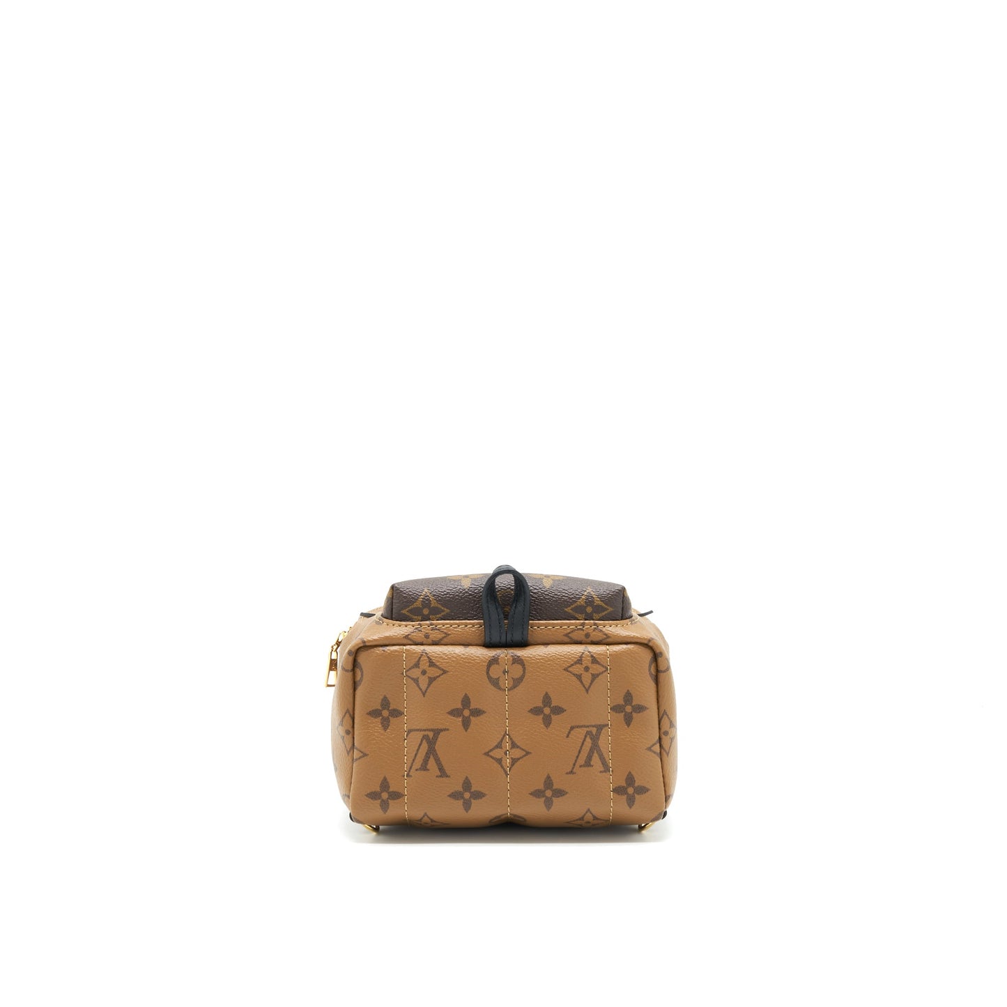Louis Vuitton Palm Spring Mini Backpack Year 2020