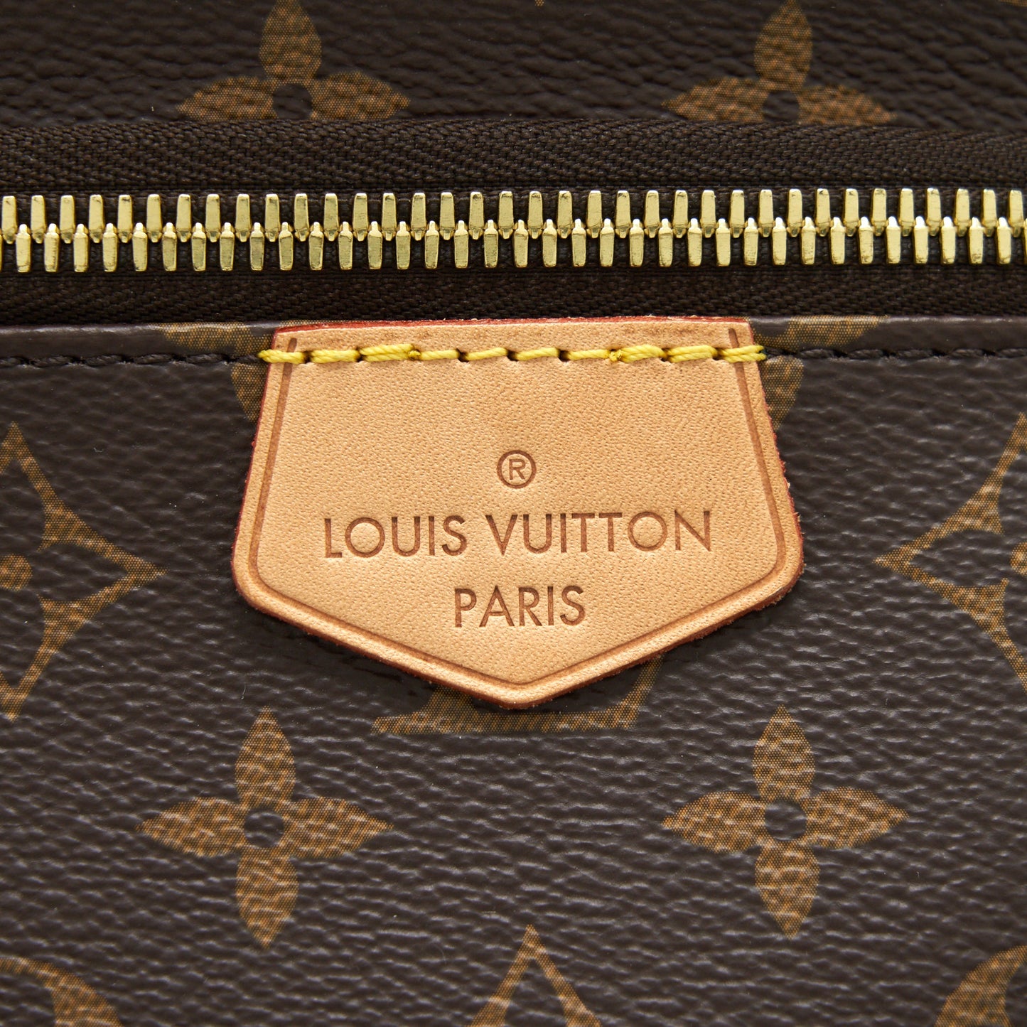 Louis Vuitton Bum Purse monogram canvas