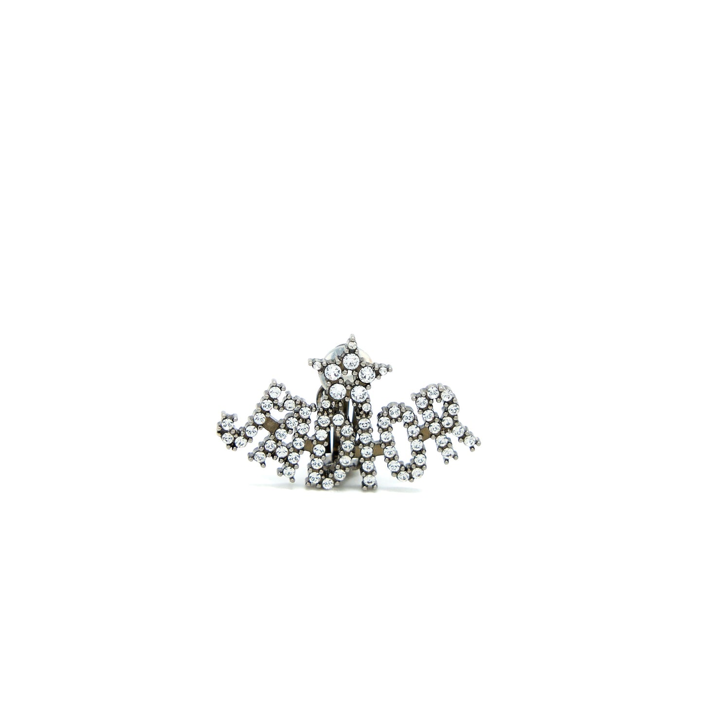 Dior Bee & Jâadior Earrings Silver Tone
