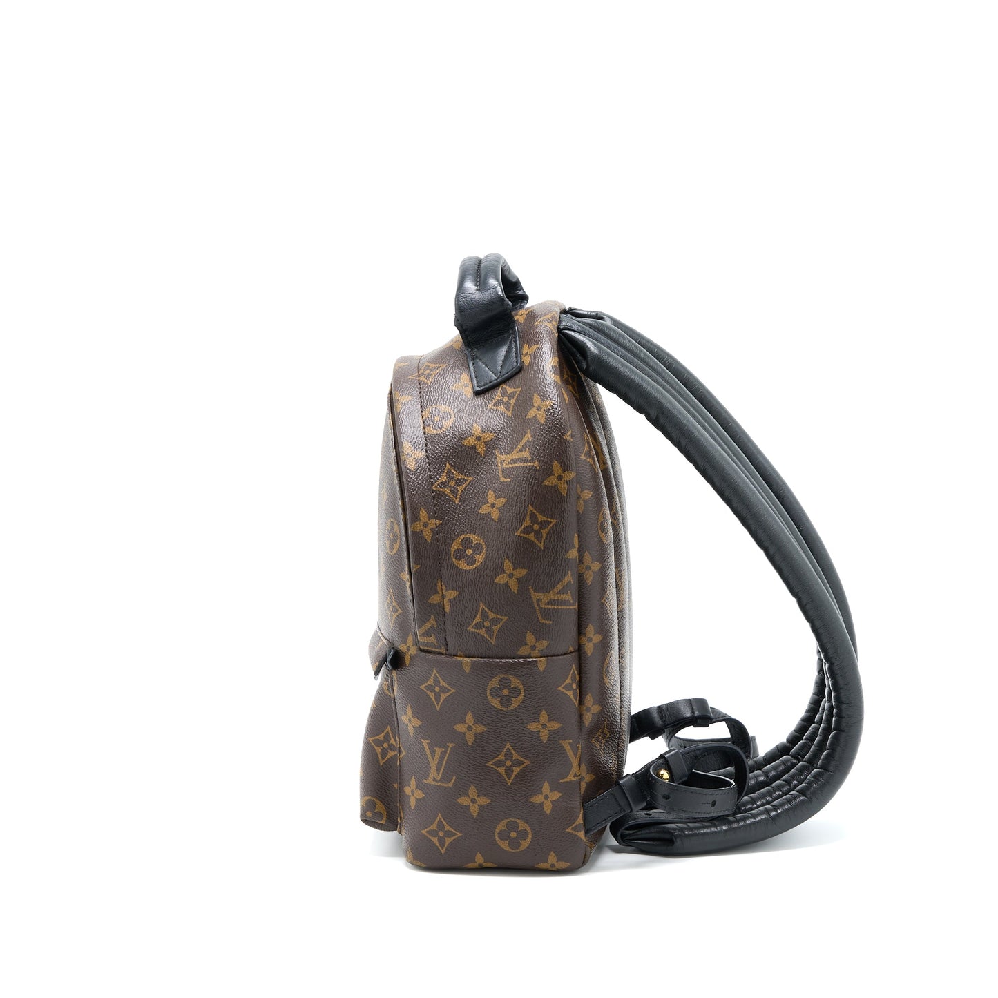Louis Vuitton Palm Spring Backpack Monogram Canvas