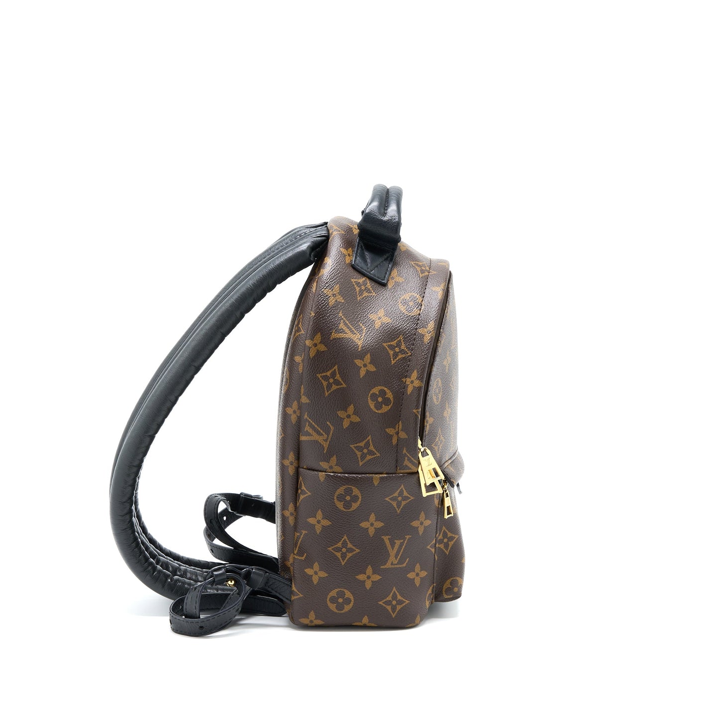 Louis Vuitton Palm Spring Backpack Monogram Canvas