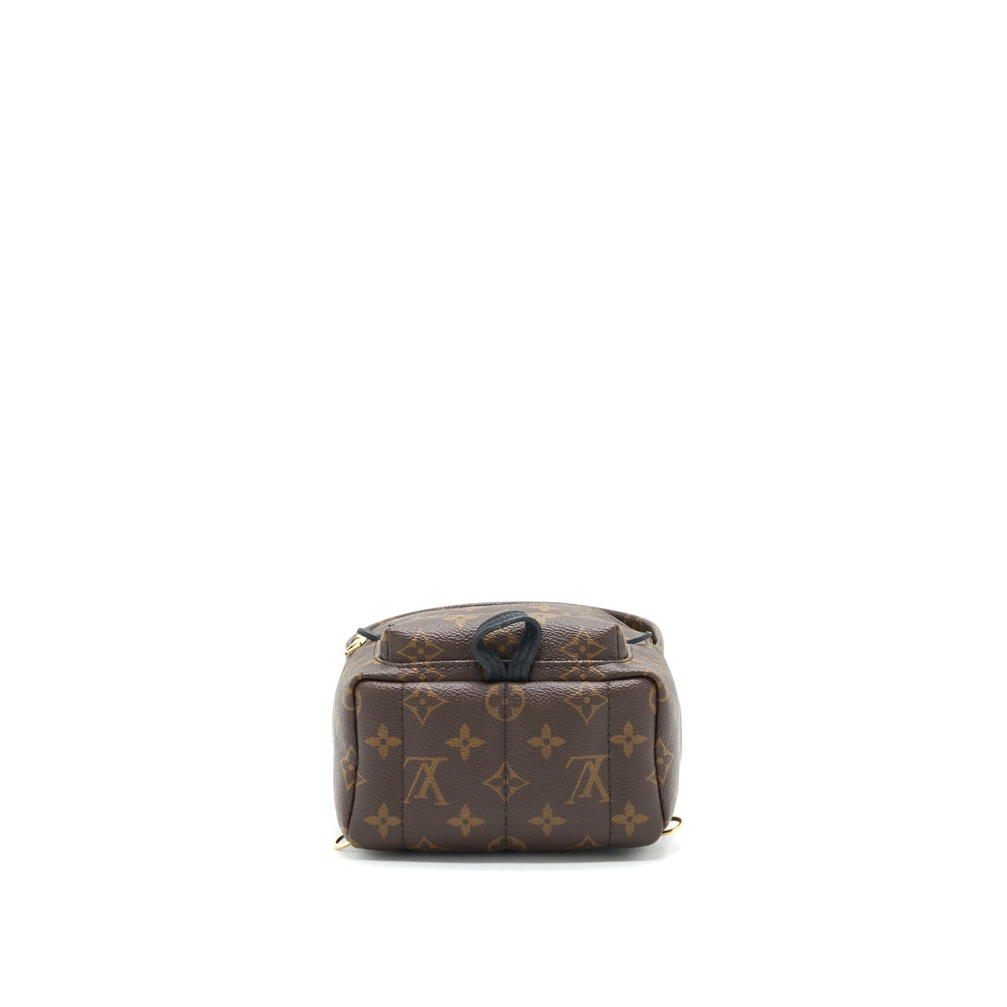 Louis Vuittin Palm Spring Backpack Mini Monogram Canvas