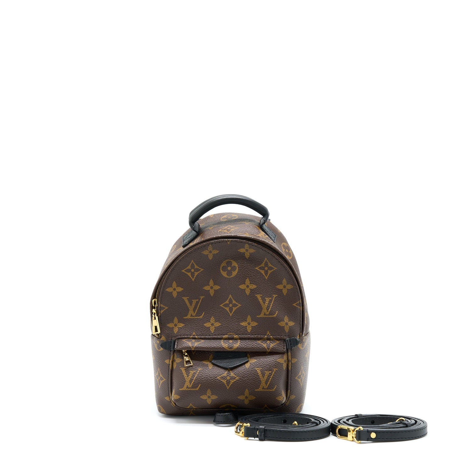 Louis Vuitton Palm Spring Mini Backpack Monogram Canvas