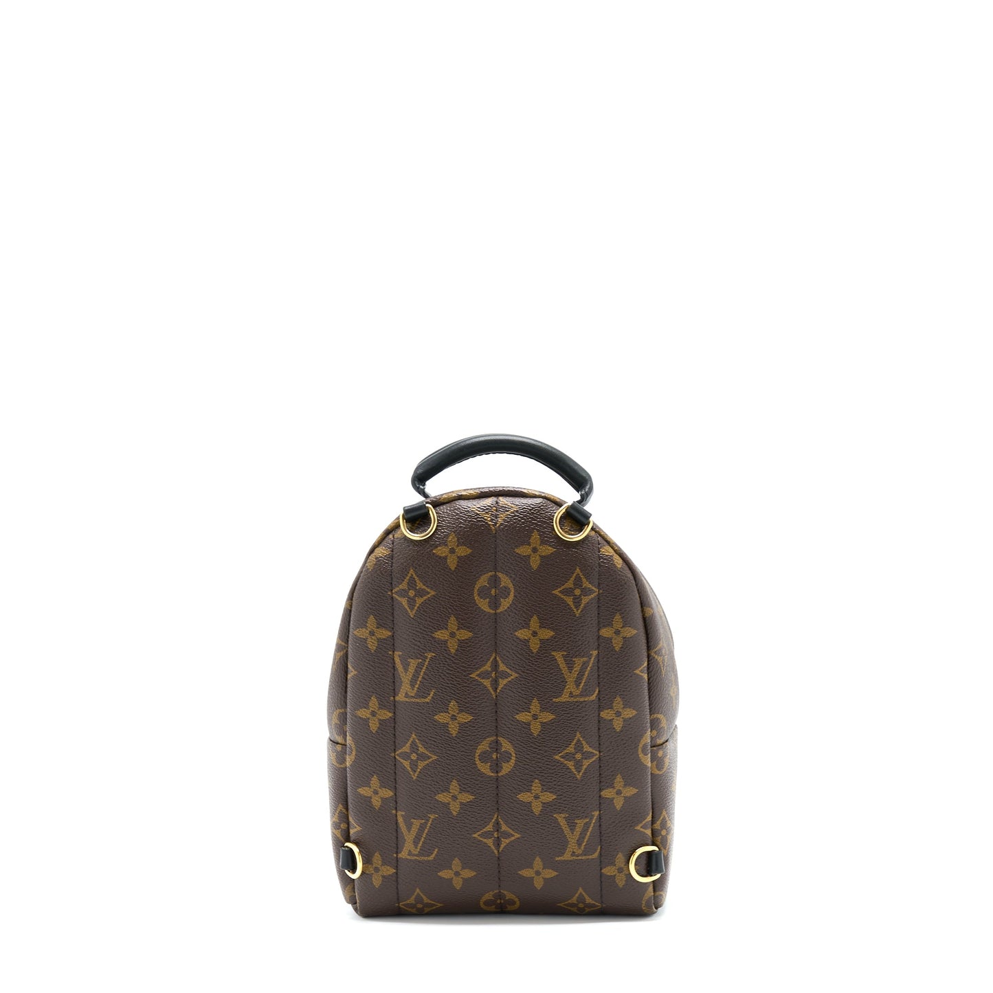 Louis Vuitton Palm Spring Mini Backpack Monogram Canvas