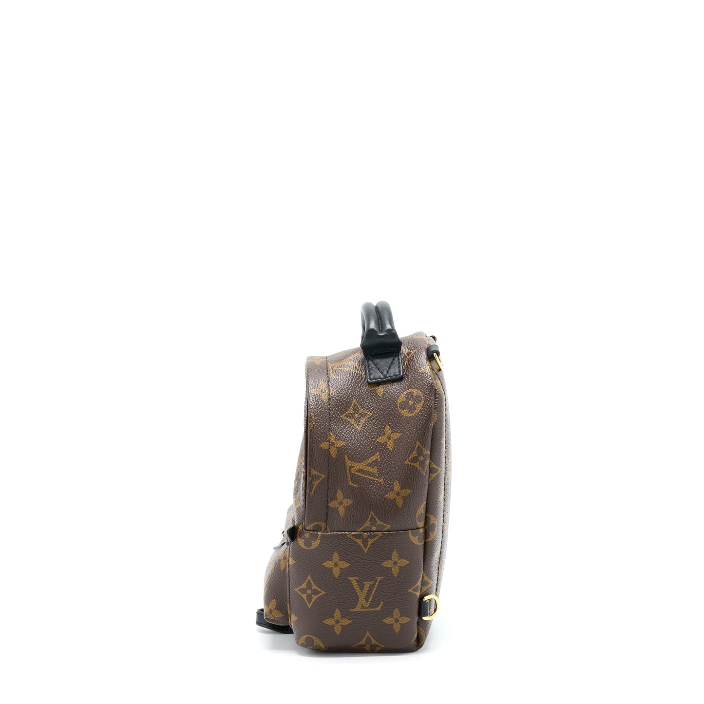 Louis Vuitton Palm Spring Mini Backpack Monogram Canvas