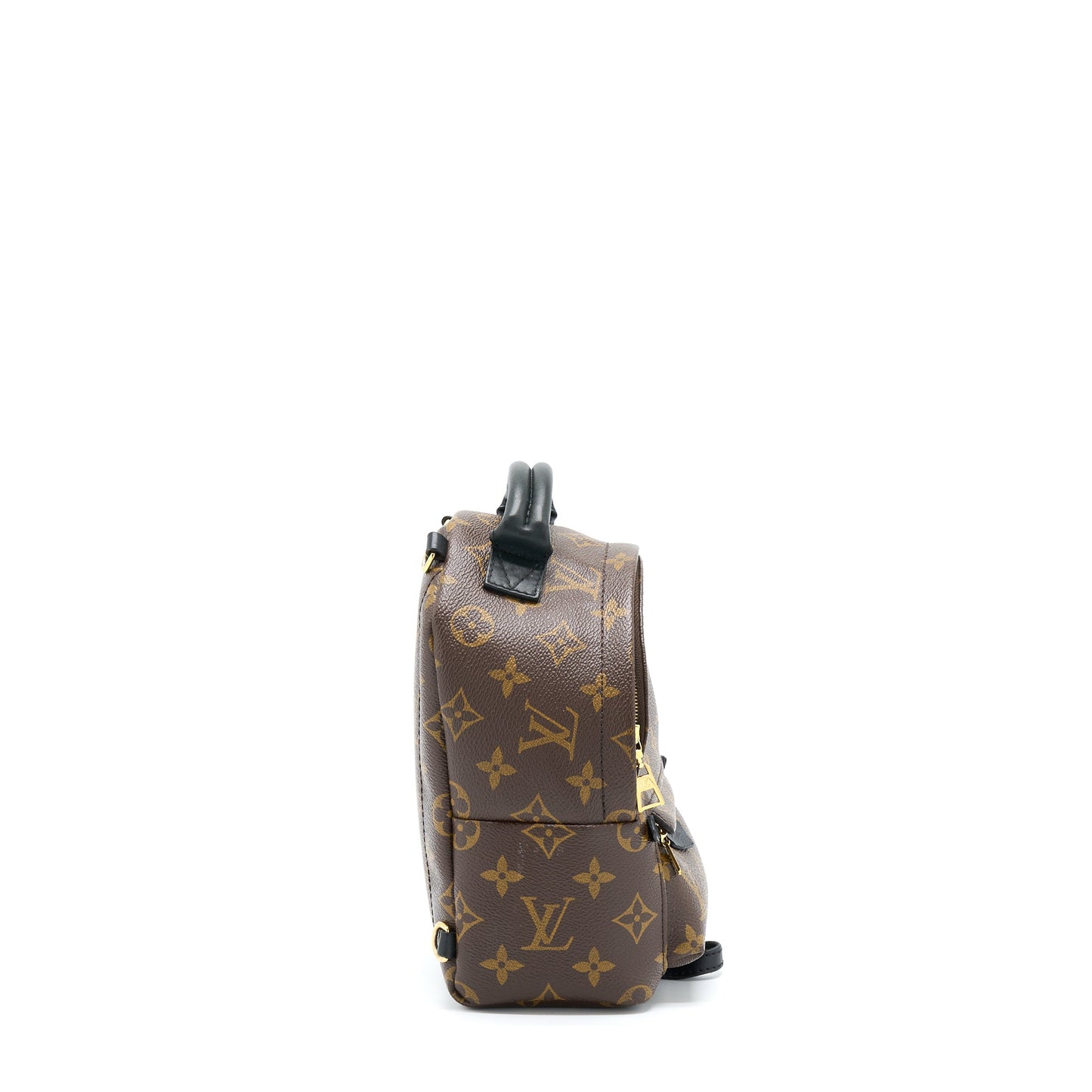 Louis Vuitton Palm Spring Mini Backpack Monogram Canvas